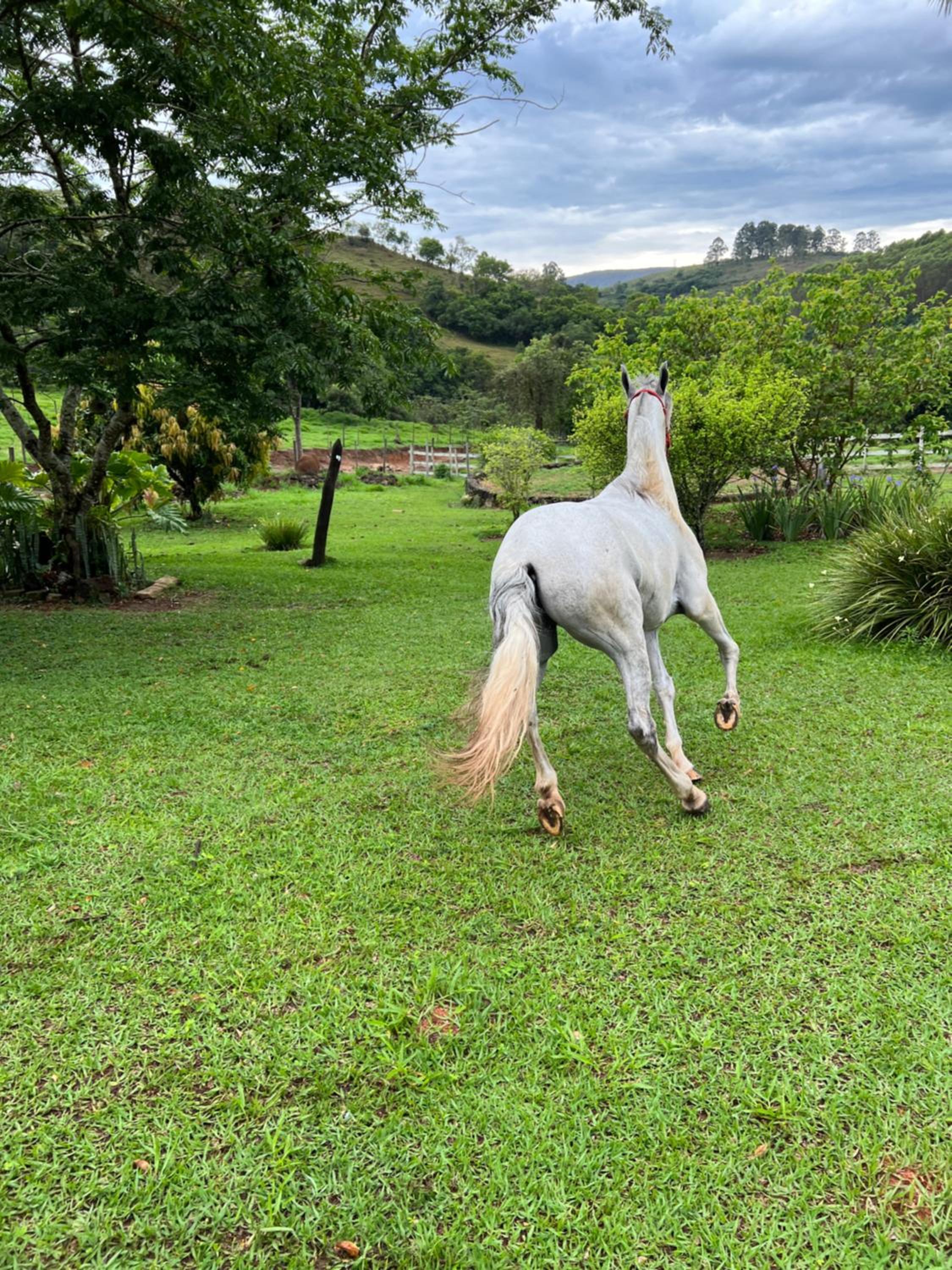 Fazenda do Engenho
