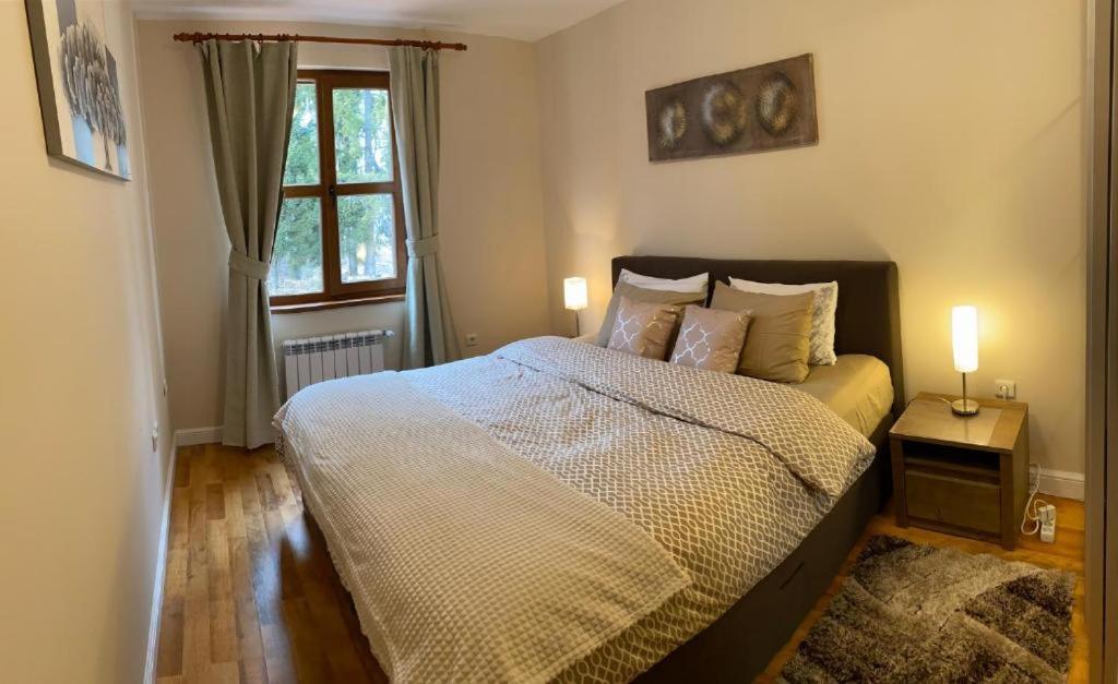 Ski to door at Mountain View 1BR condo Bansko