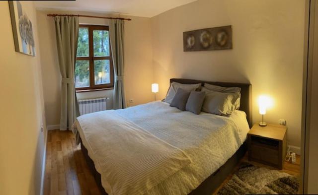 Ski to door at Mountain View 1BR condo Bansko
