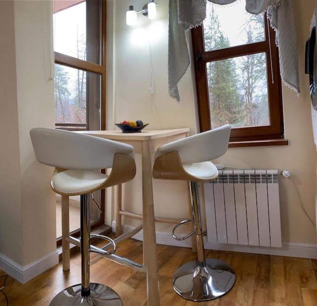 Ski to door at Mountain View 1BR condo Bansko