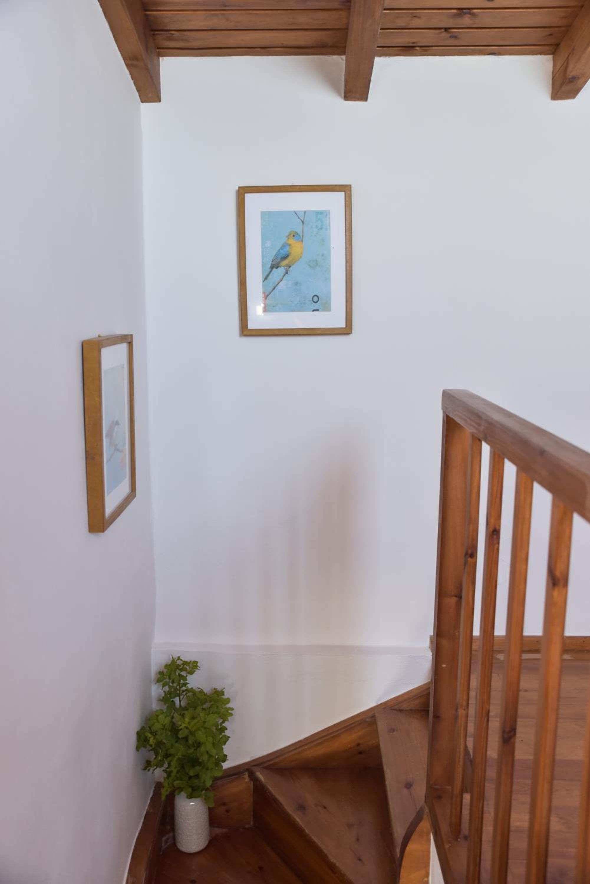 Seasound apartments