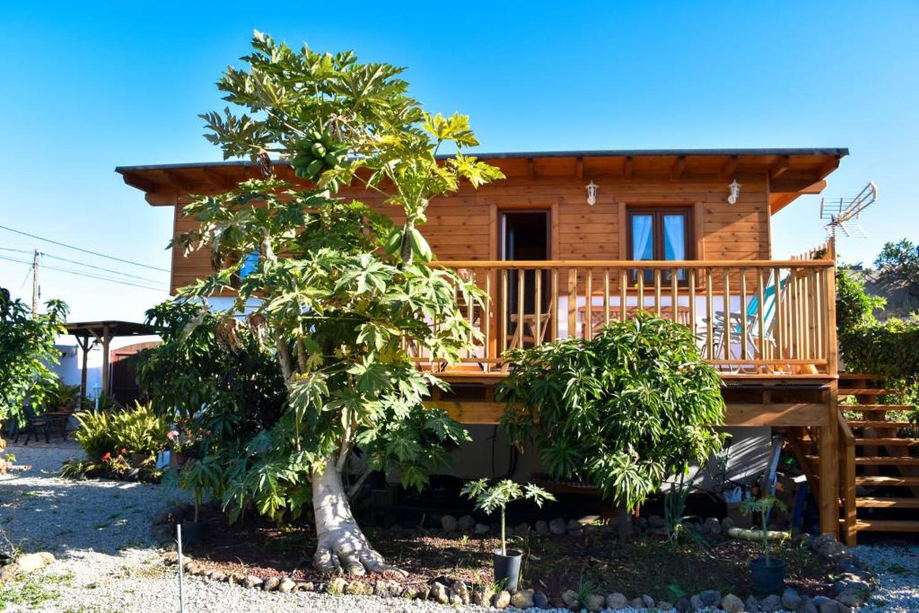 Charming house in Icod de los Vinos with garden 70 m² view 3