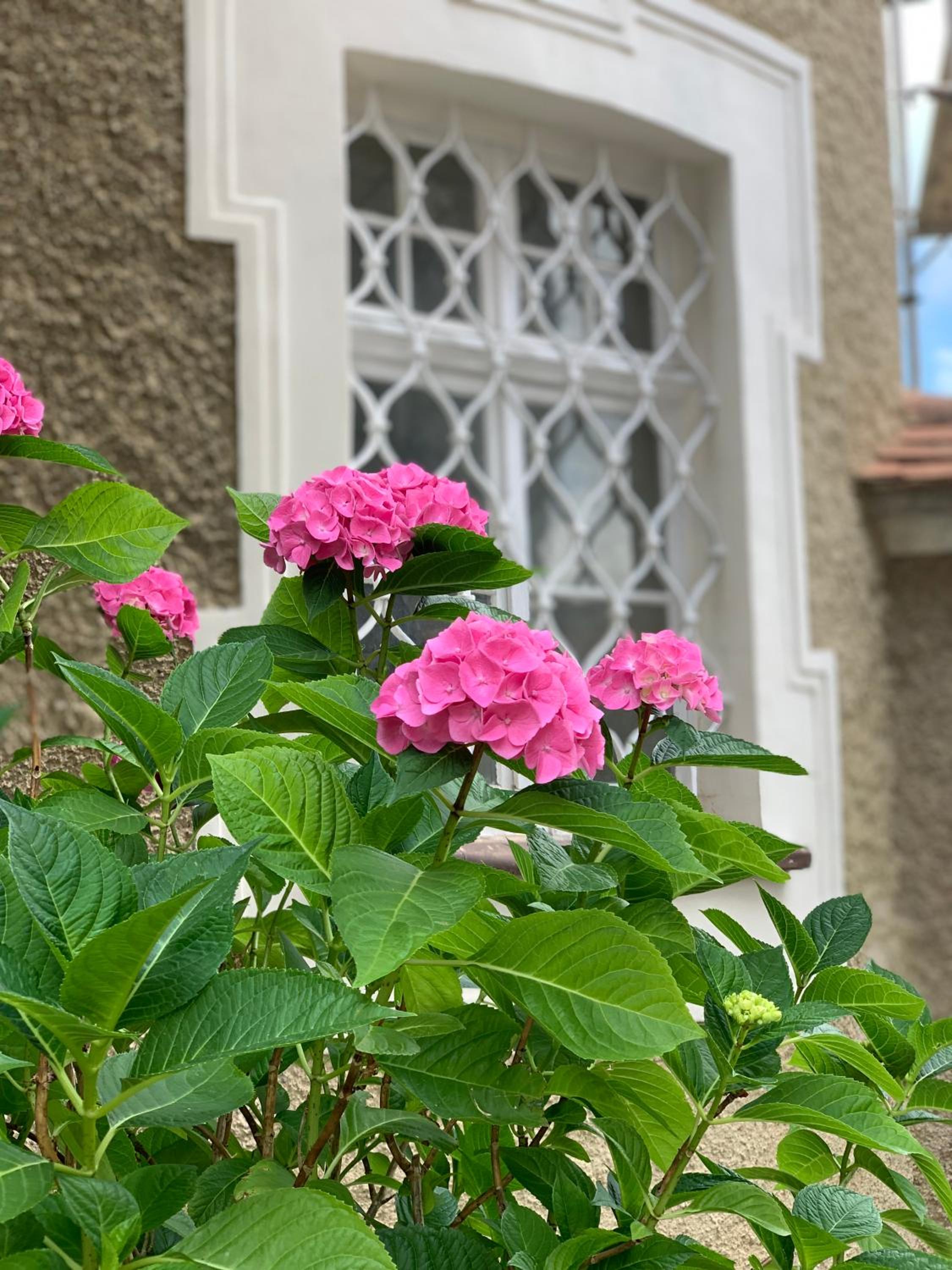 Schloß Hürbel Rosengarten - Suite