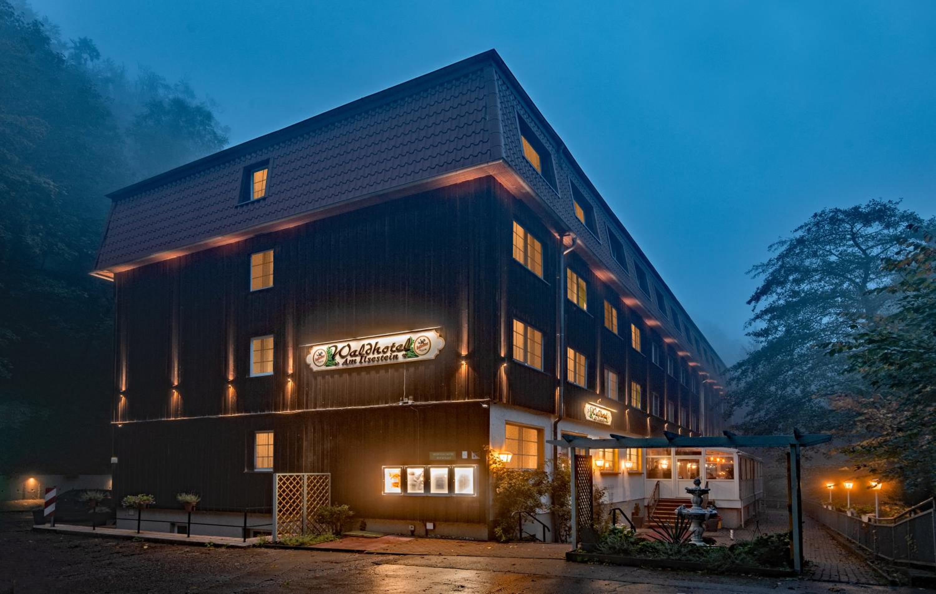 Hotel Waldhotel Harz Ilsenburg - Image 1