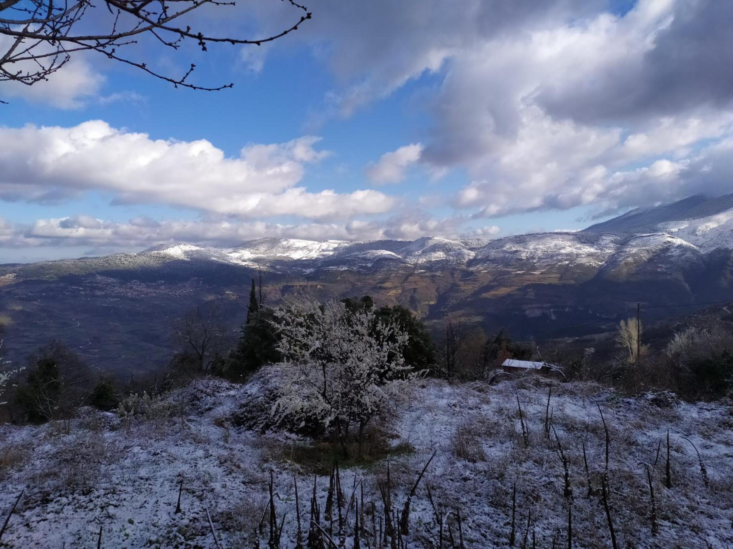 Μικρή Ζήρεια Ενοικιαζόμενη Κατοικία view 5