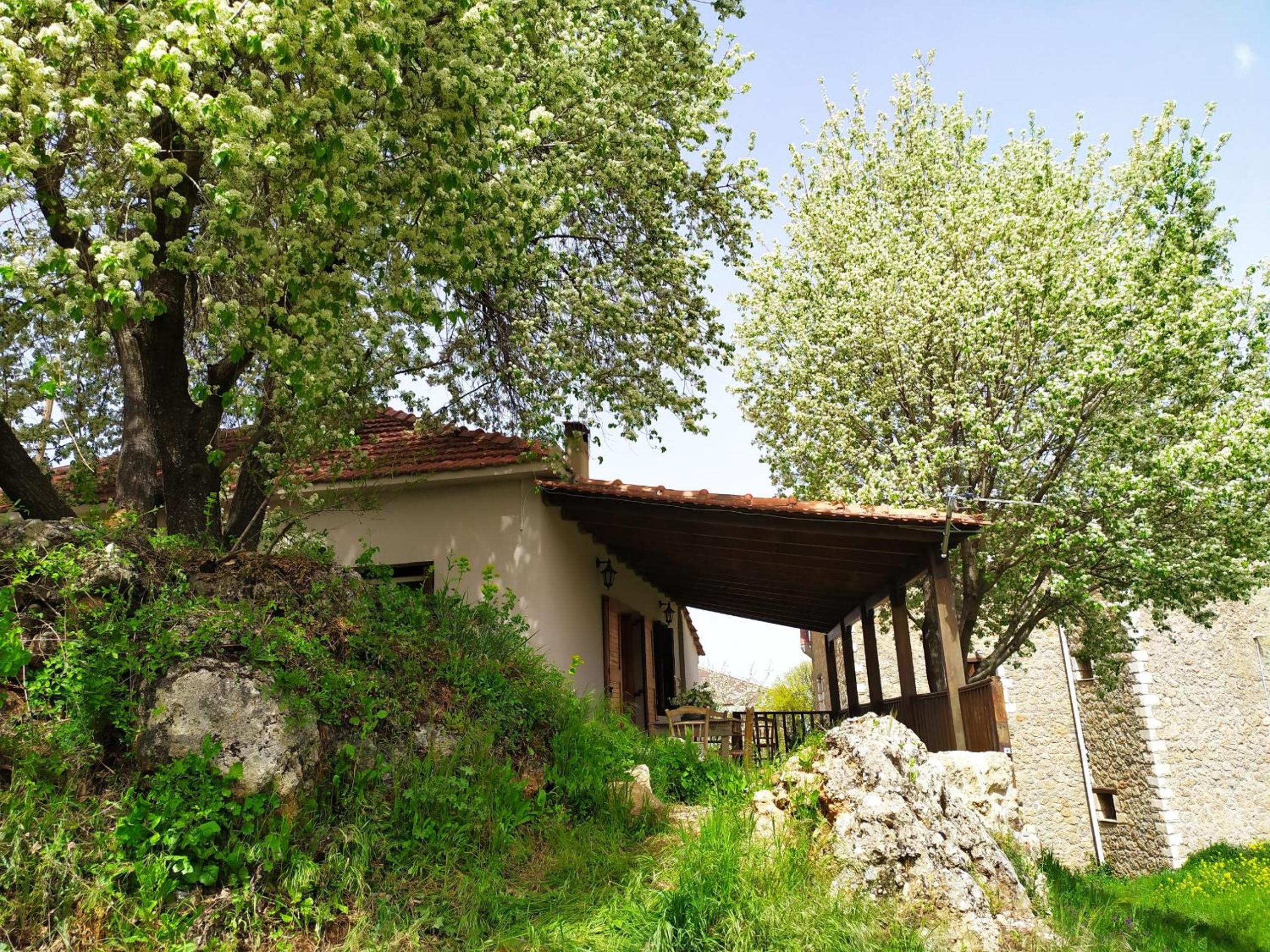 Μικρή Ζήρεια Ενοικιαζόμενη Κατοικία view 2