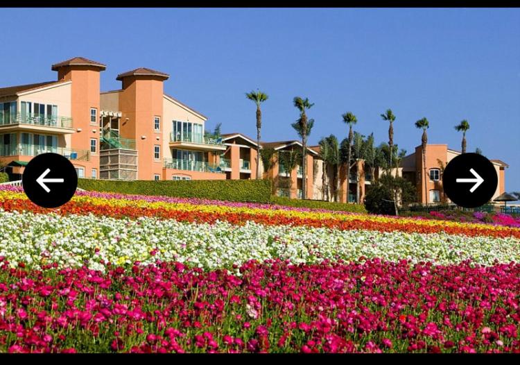 One week Vacation Carlsbad California