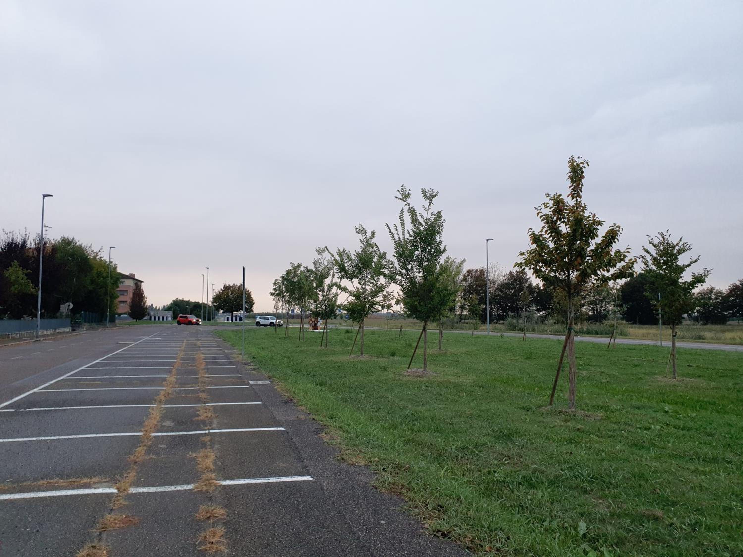 parking