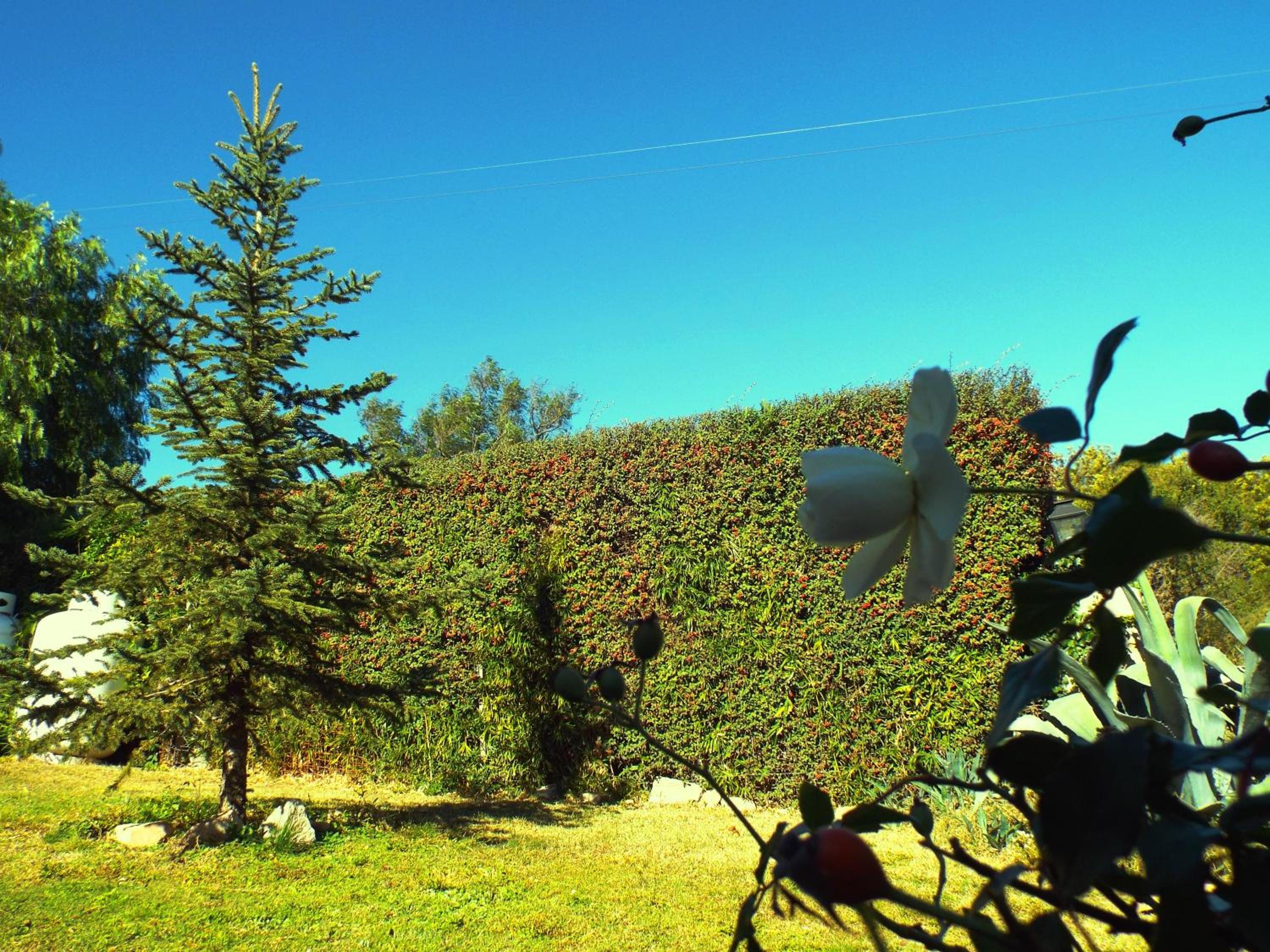 Flor de Lis Casas de Campo