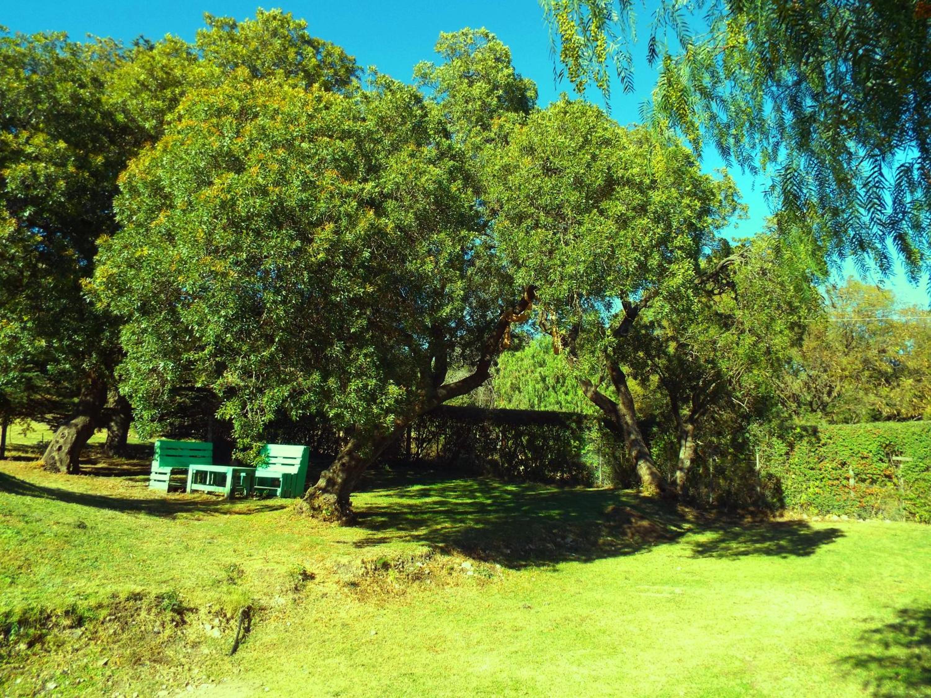 Flor de Lis Casas de Campo