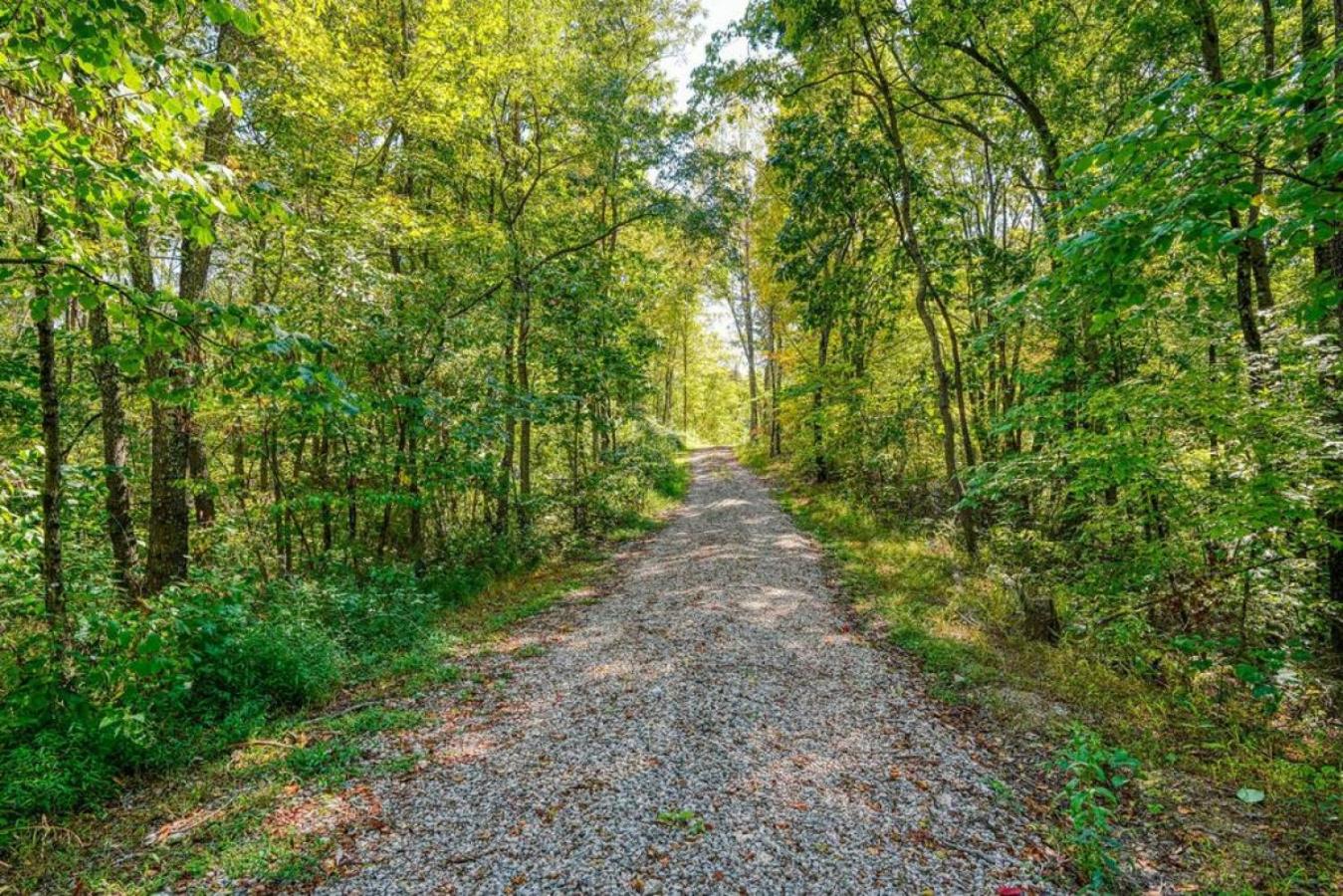 Photo 51