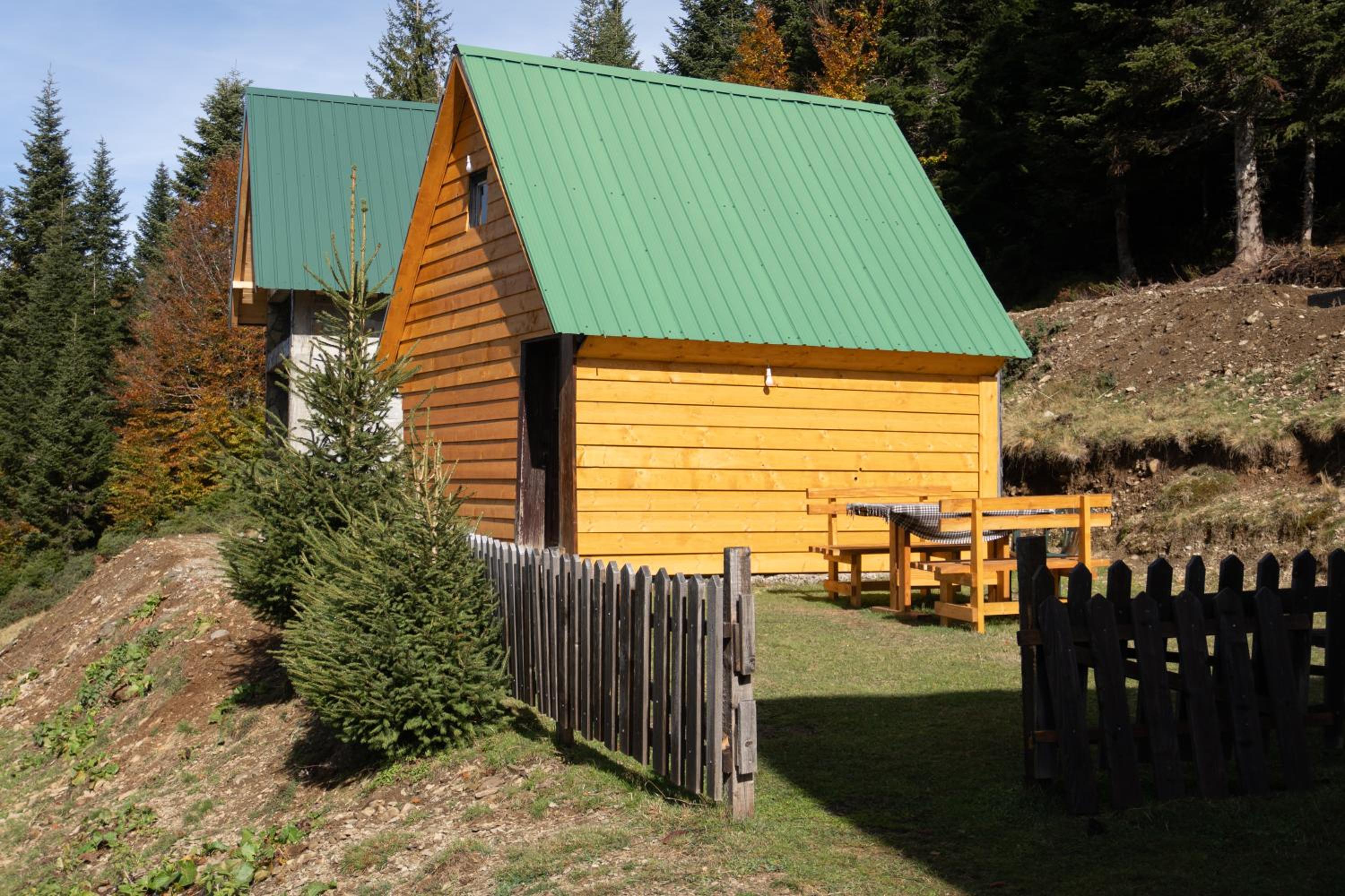 Photo 8