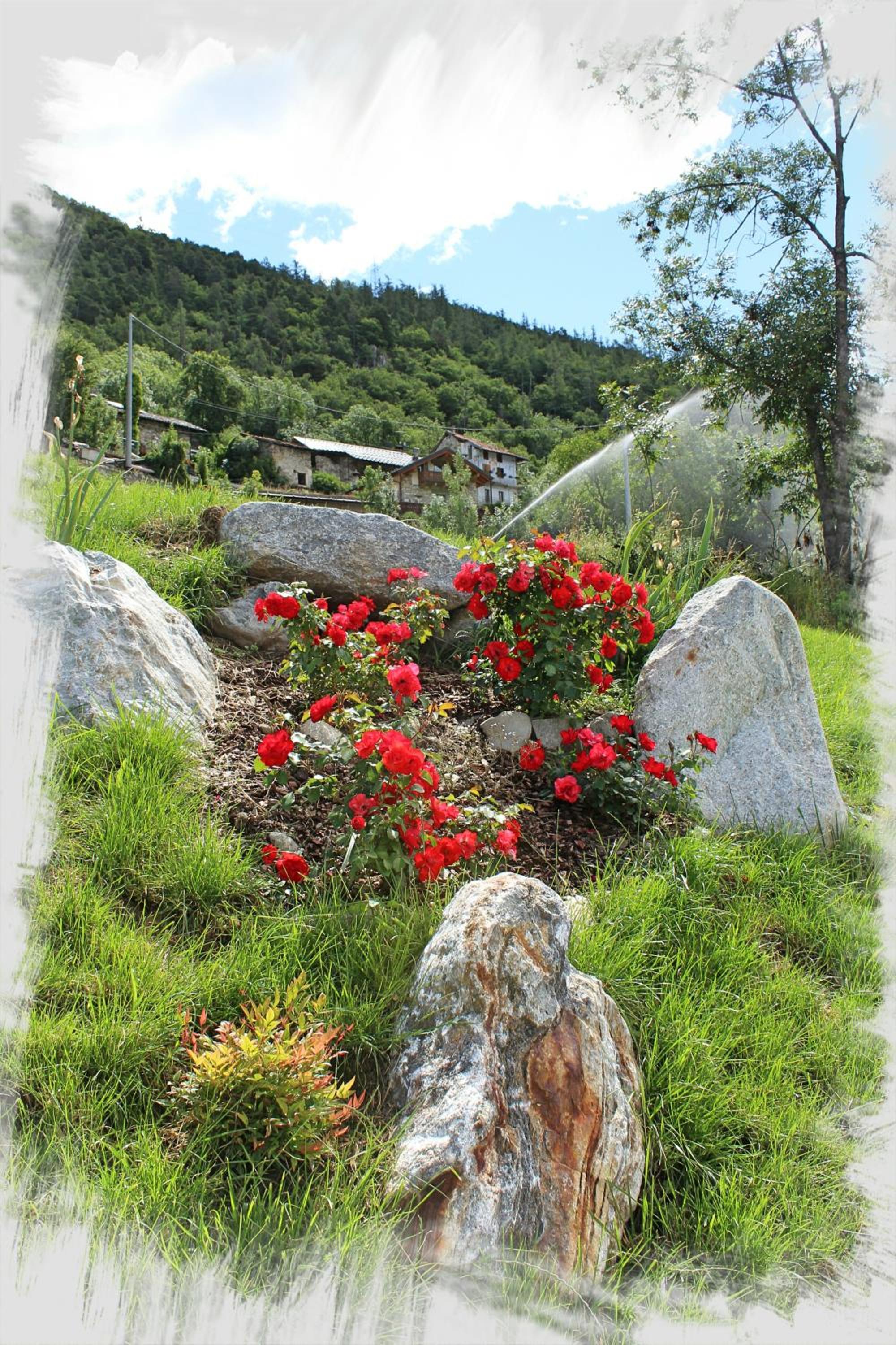 Photo 32