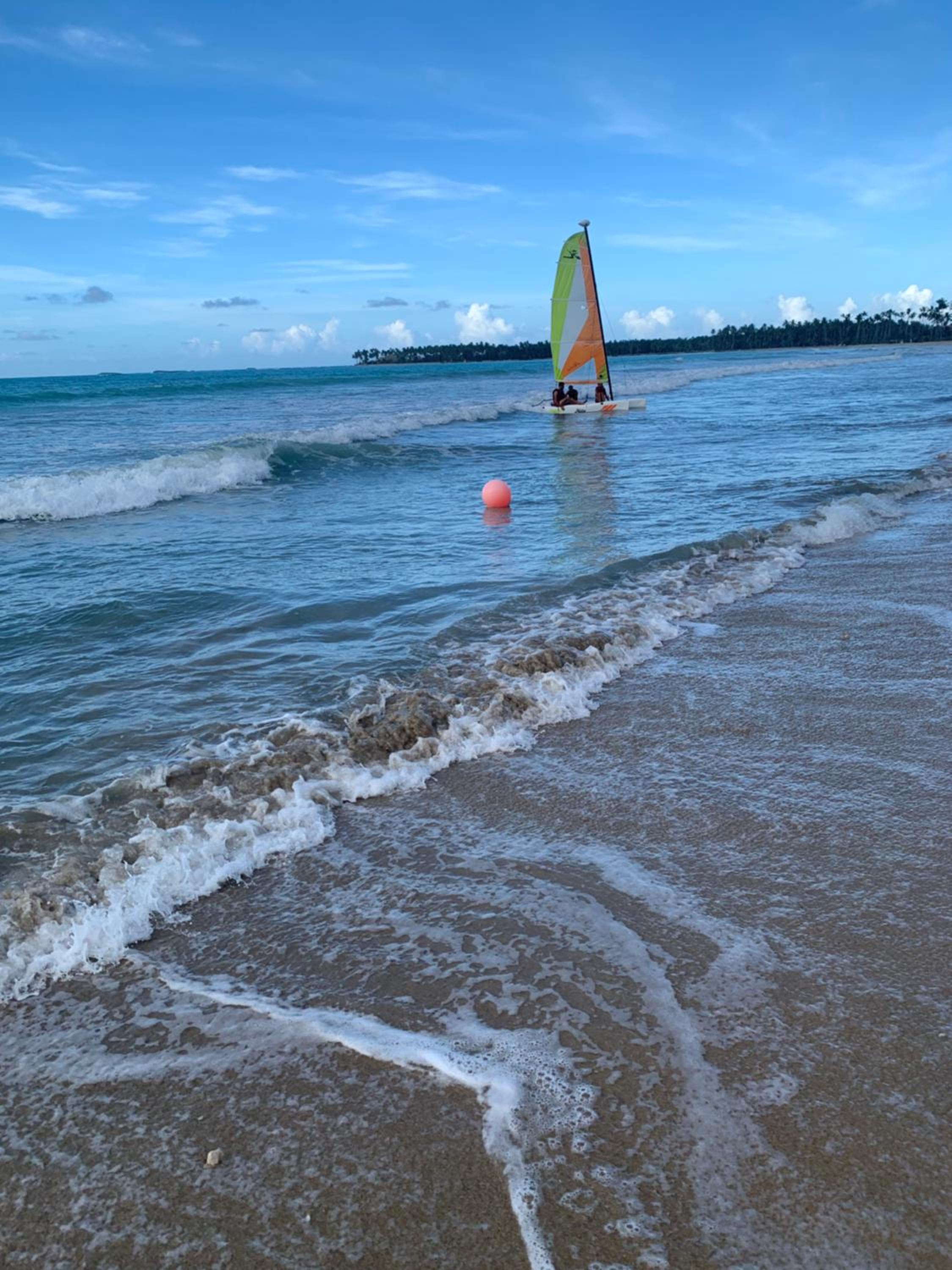 Caribbean Domicile