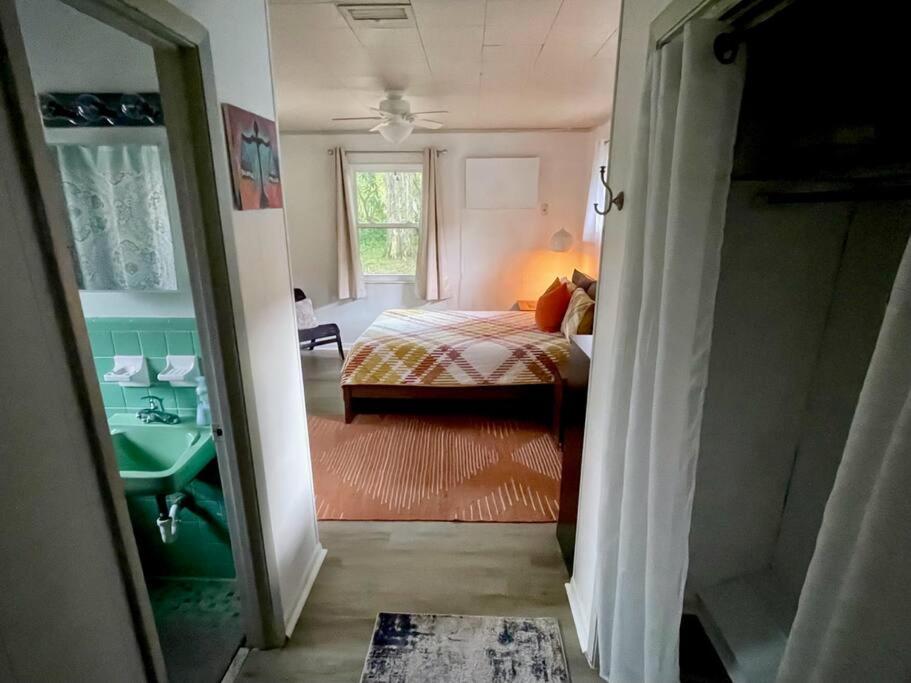 3BR Downtown House with Yard by UF view 5