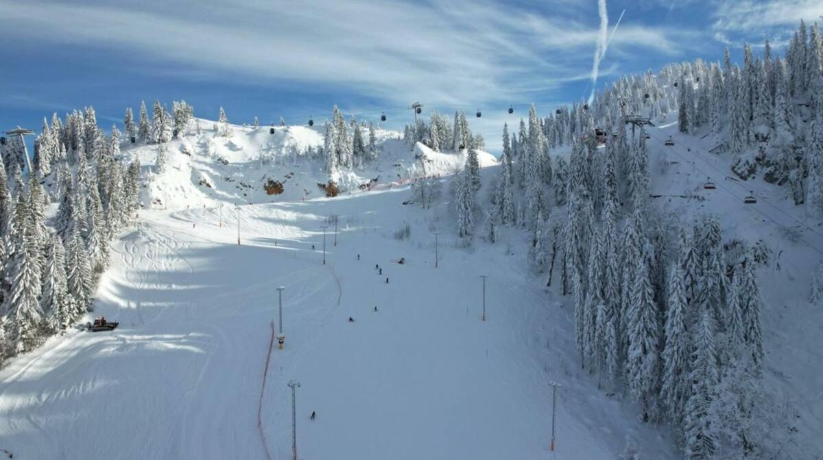 Apartman Winter night Snježna dolina