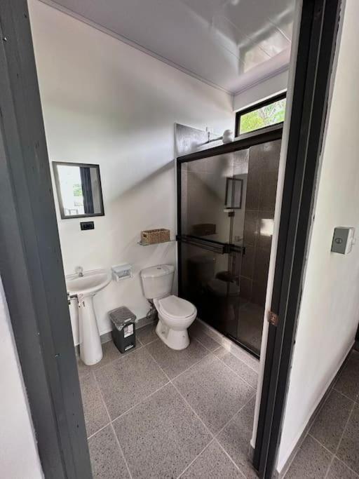 Loft GuanaFree 2