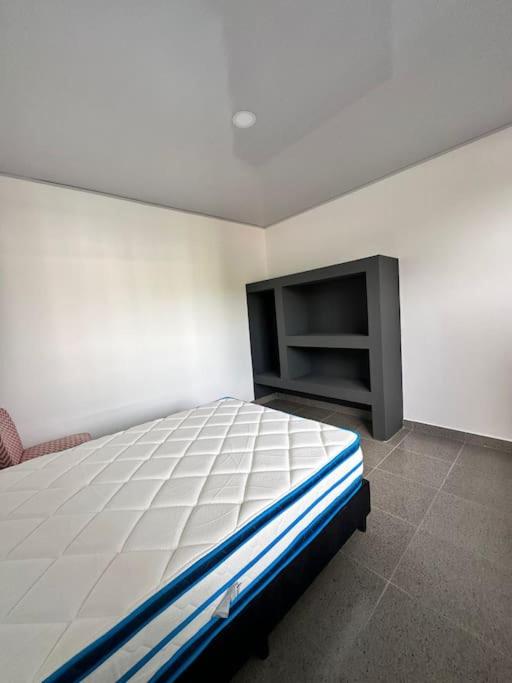 Loft GuanaFree 2