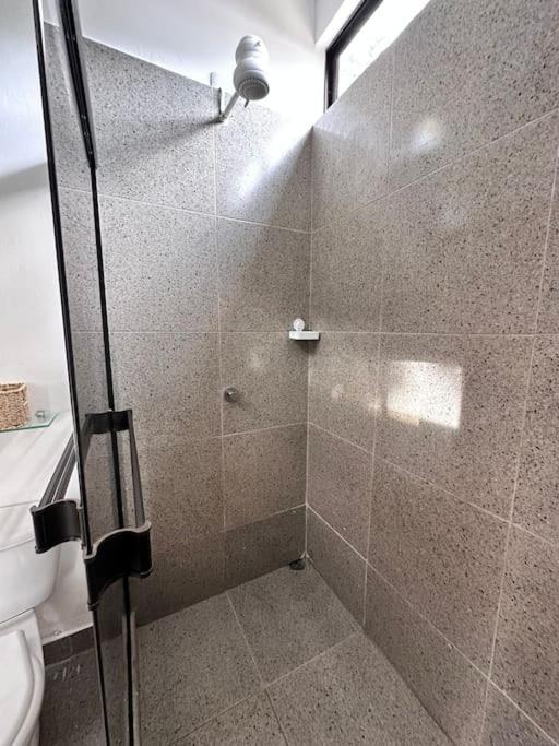 Loft GuanaFree 2