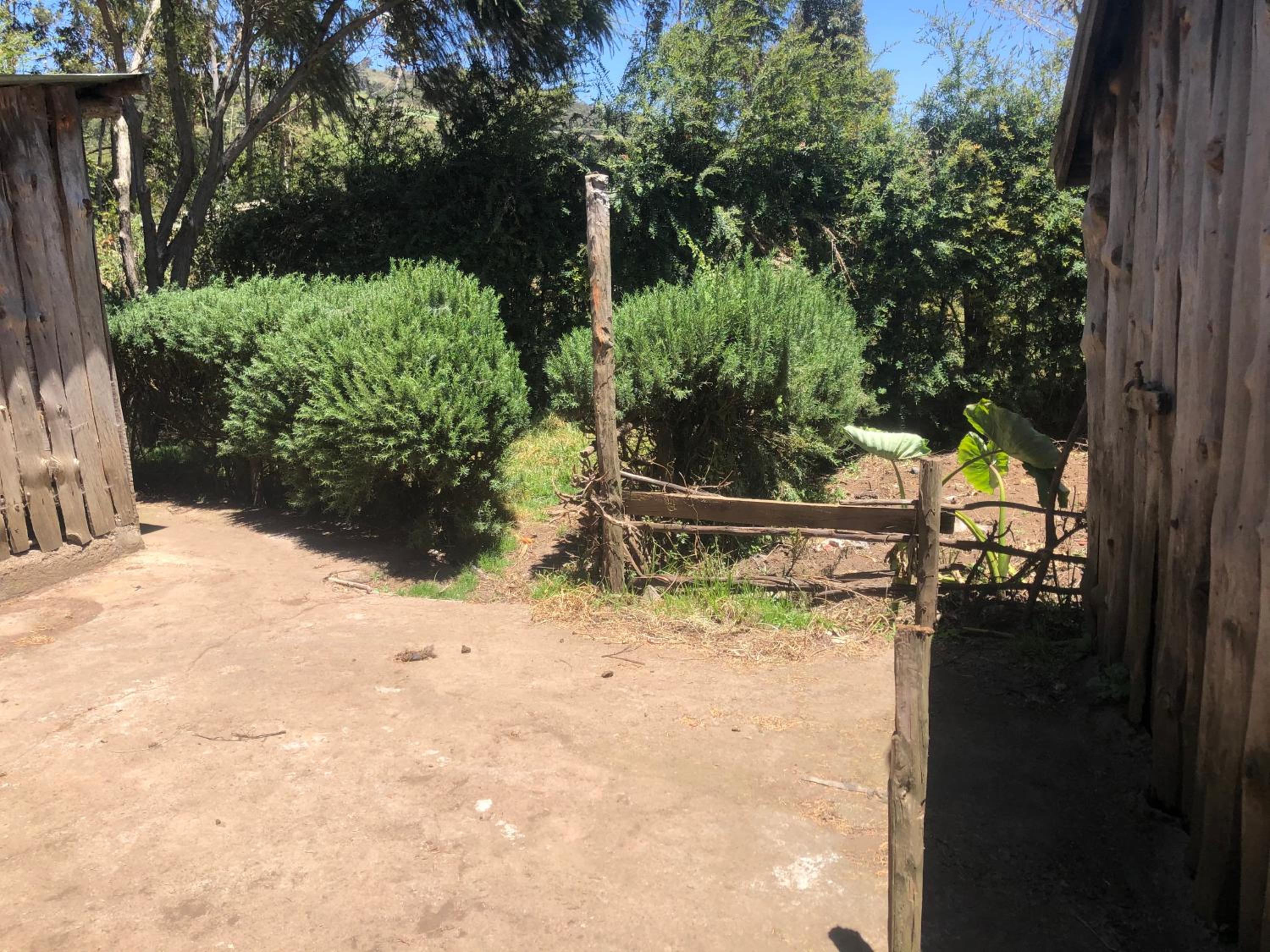 Kiharas farm stay,