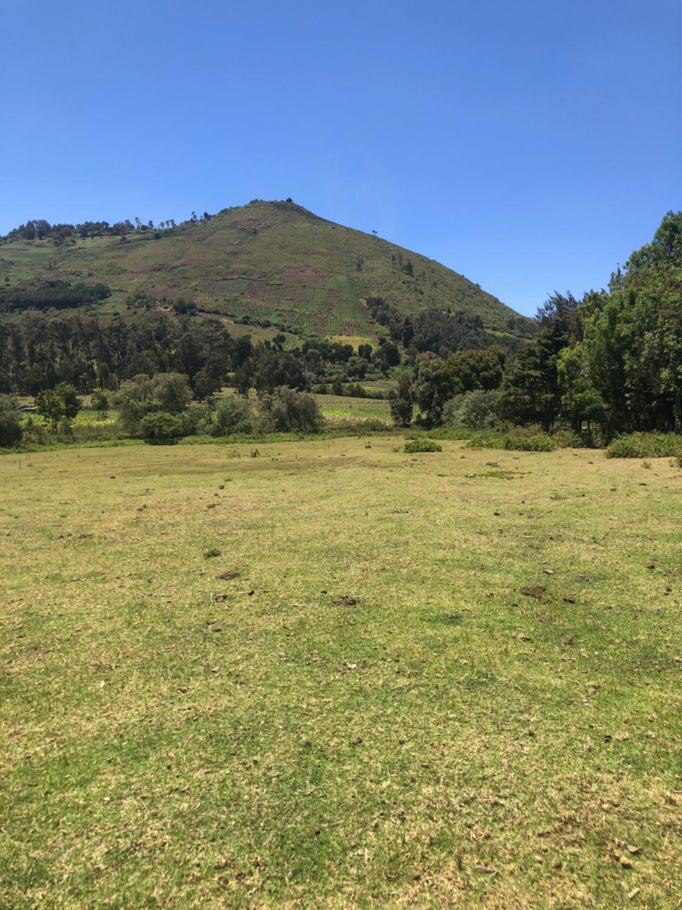 Kiharas farm stay,
