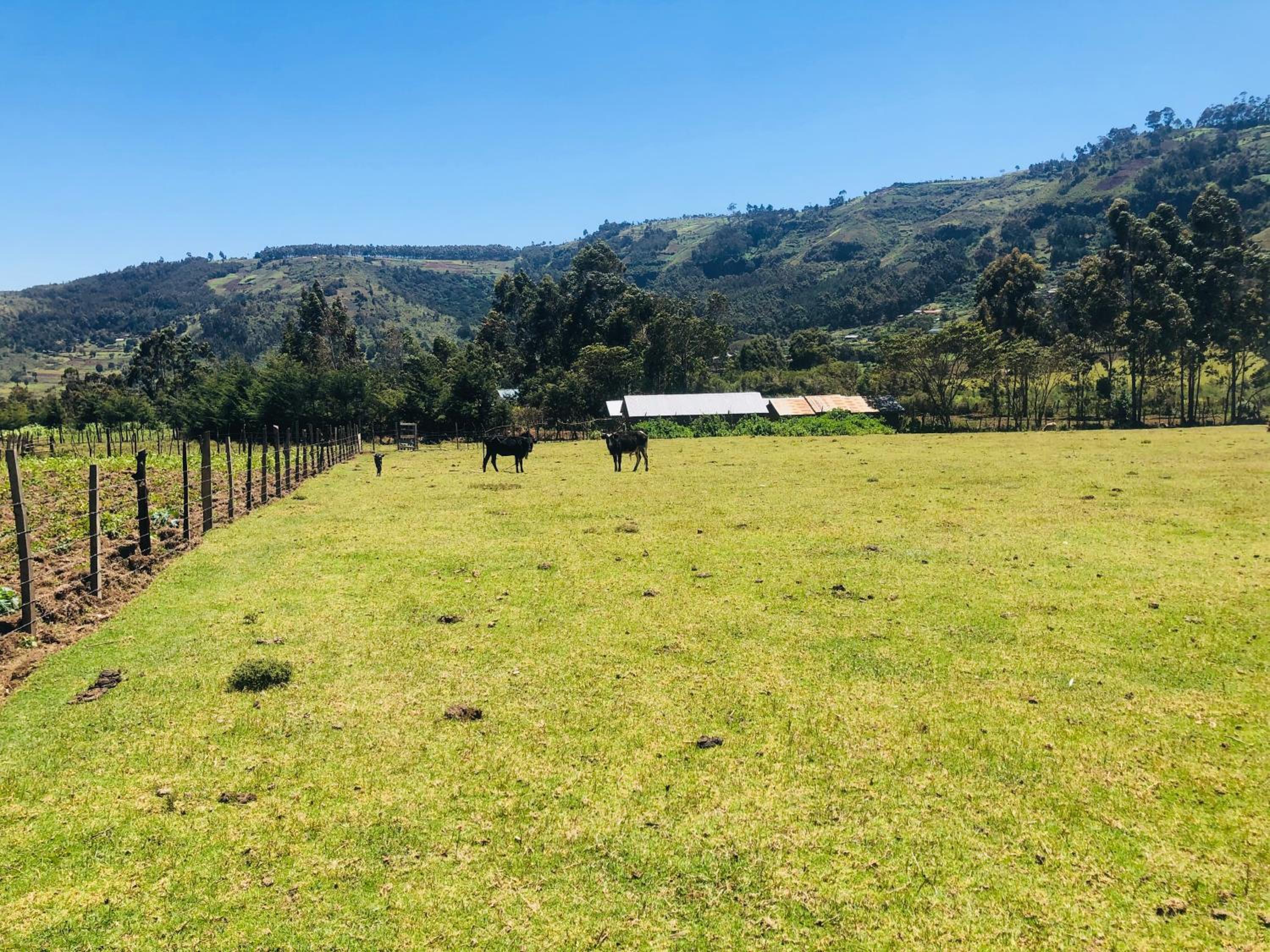 Kiharas farm stay,