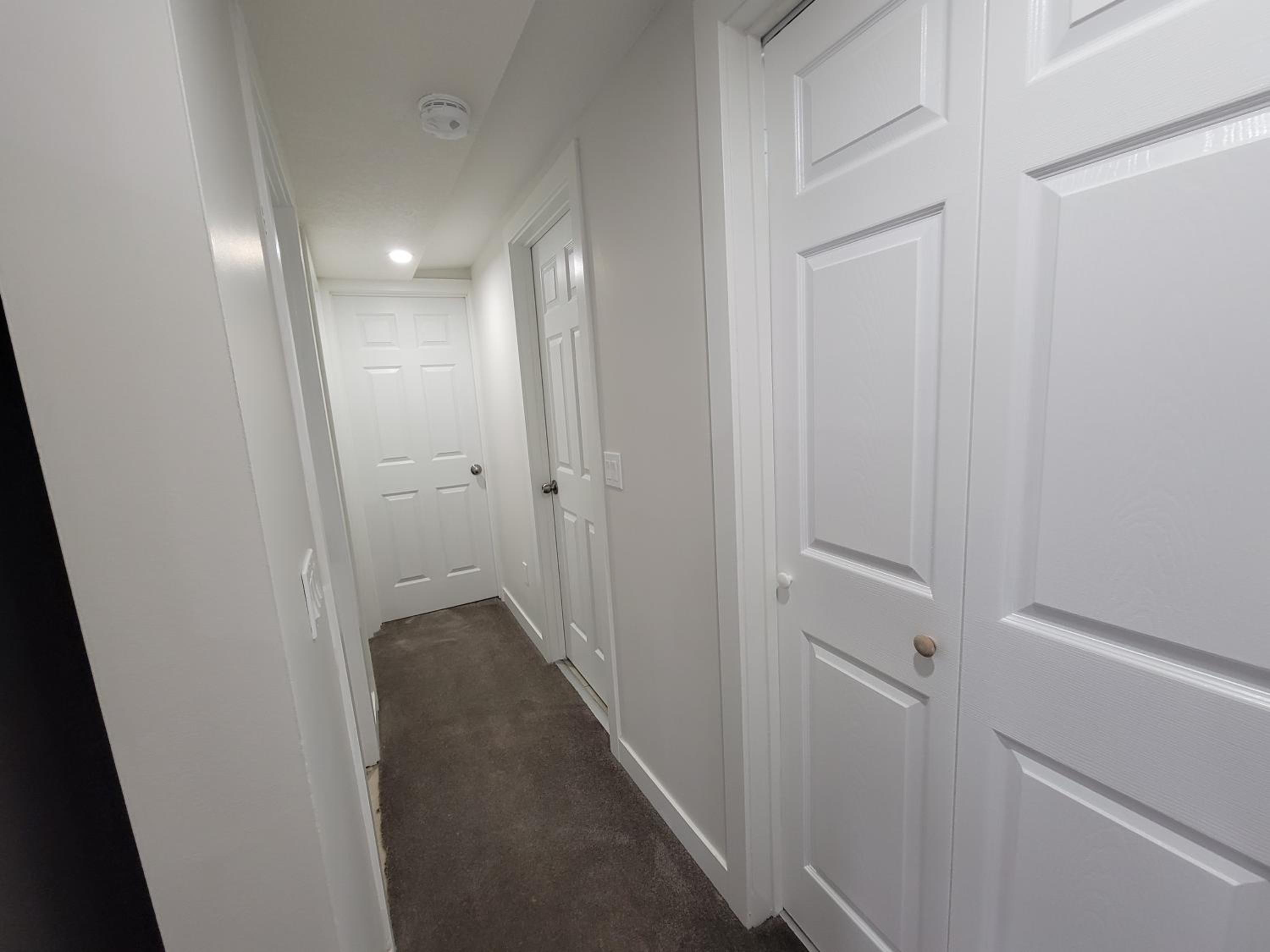 Walkout Basement Suite