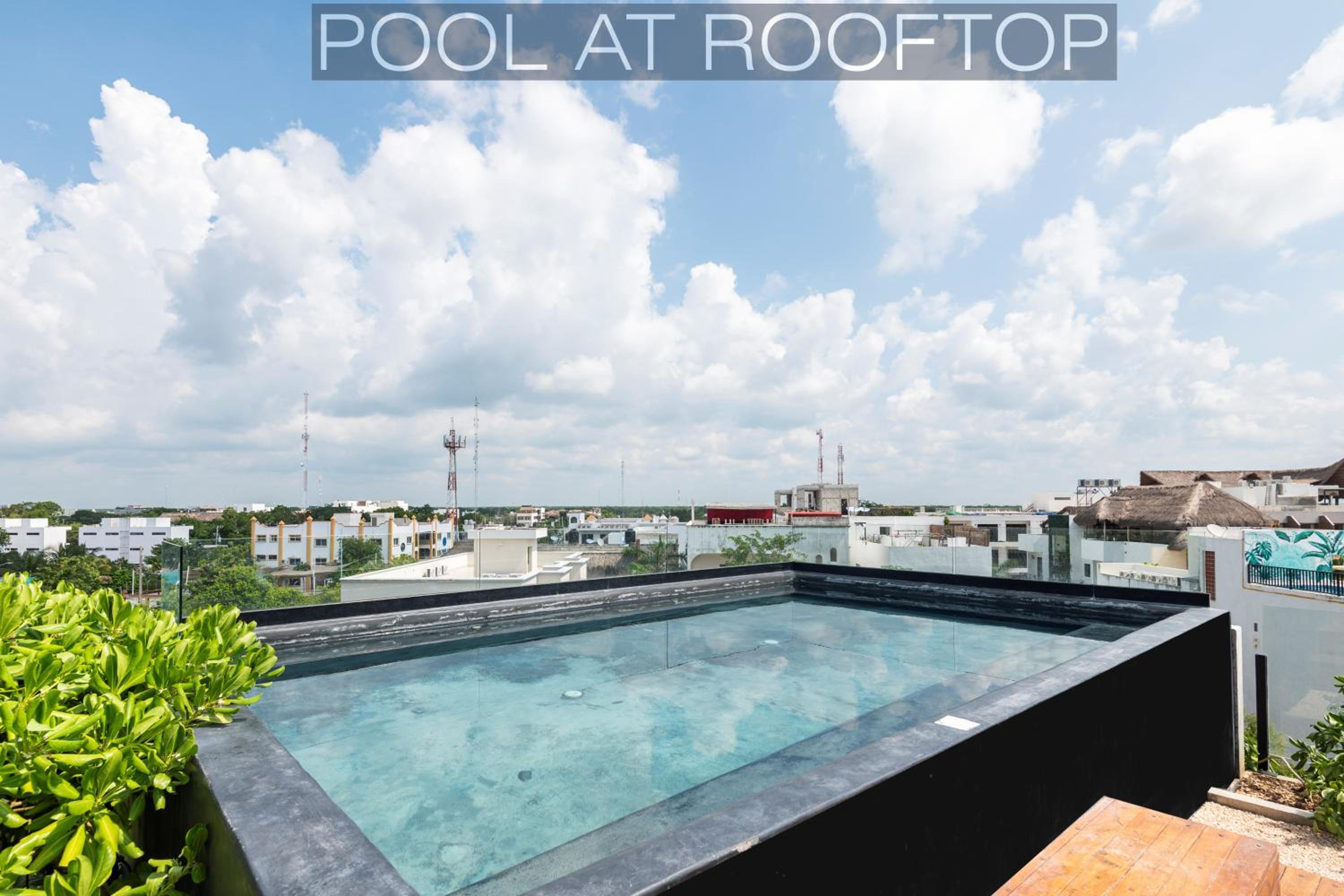 roof