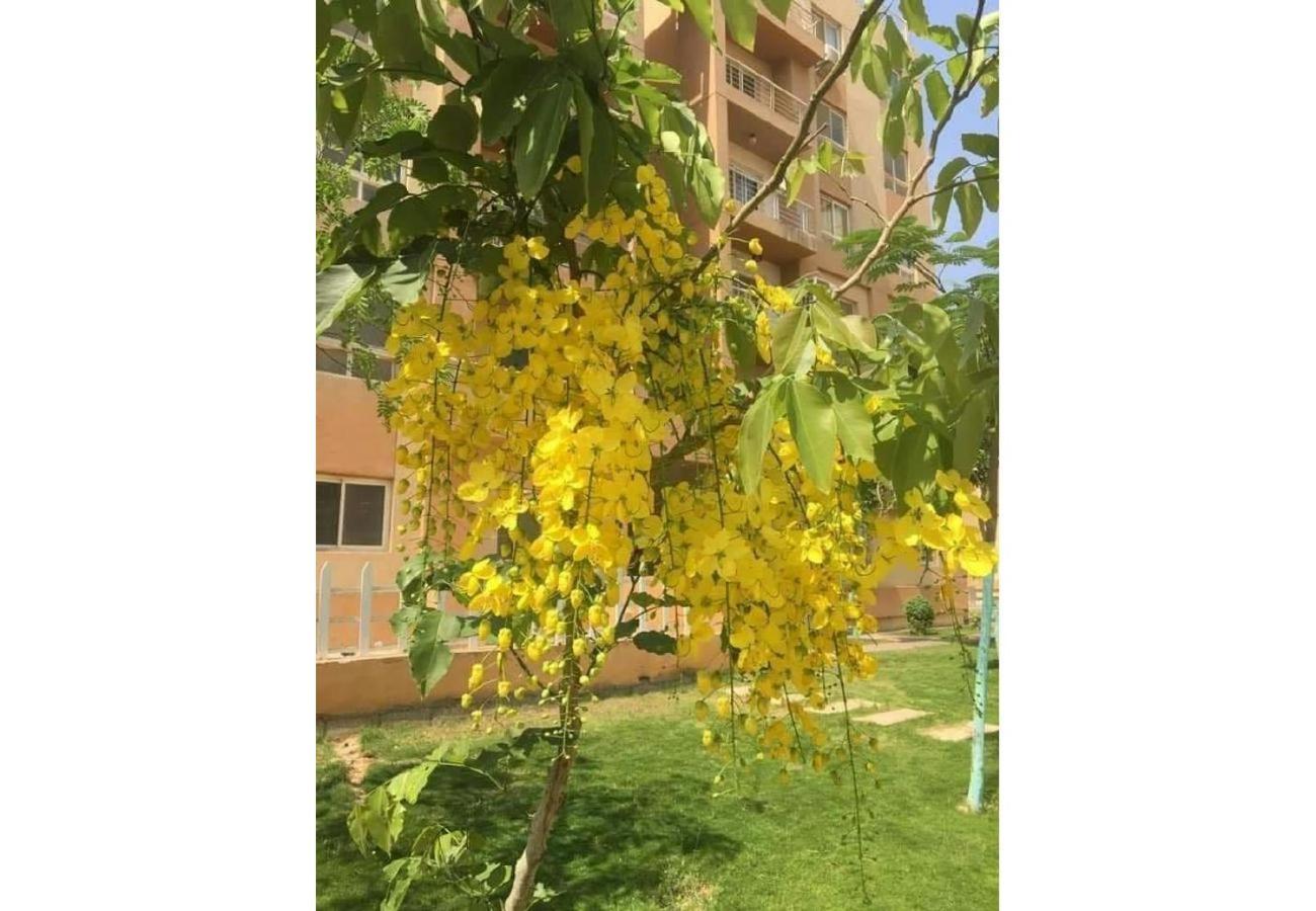 A Wonderful Apartment in a compound in October Gardens
