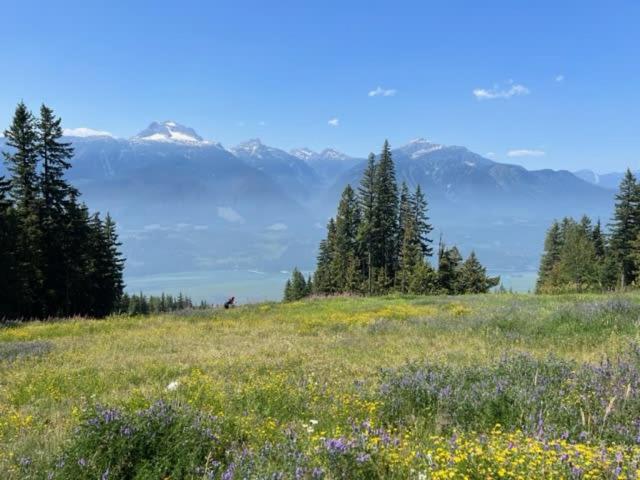 Le Refuge - Revelstoke Condo with Hot Tub