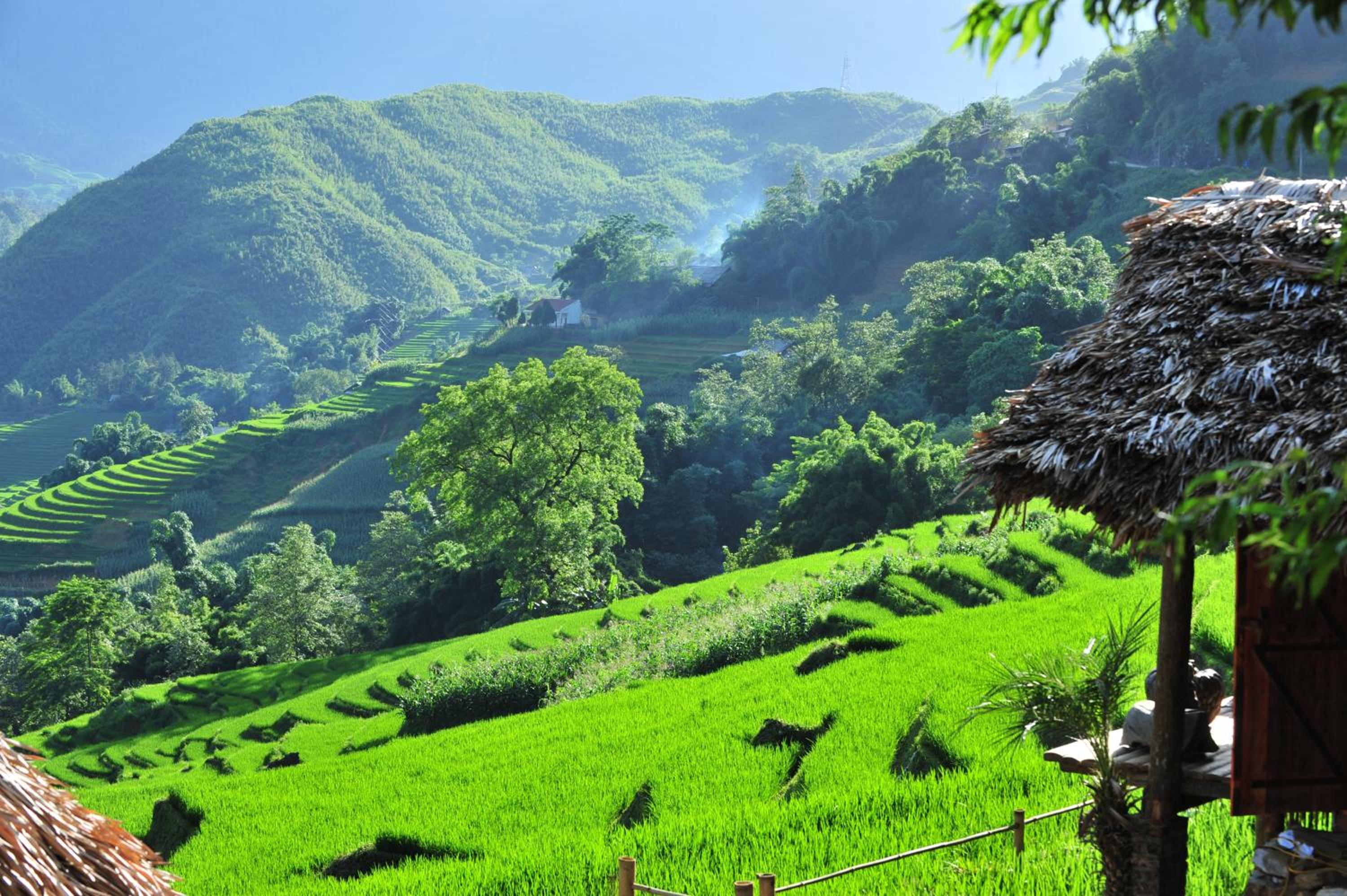 Eco Palms House - Sapa Retreat