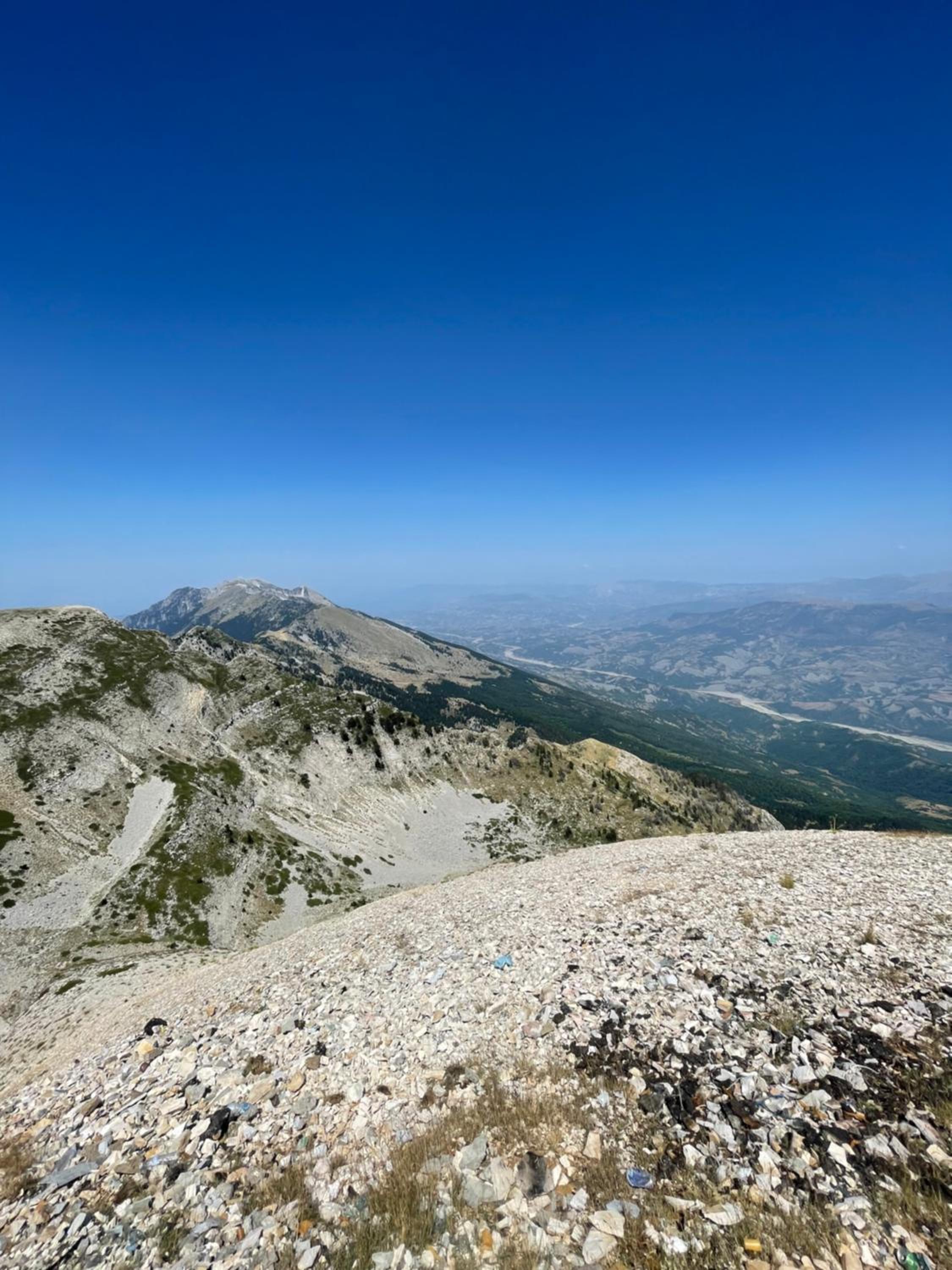 Mountain Majesty