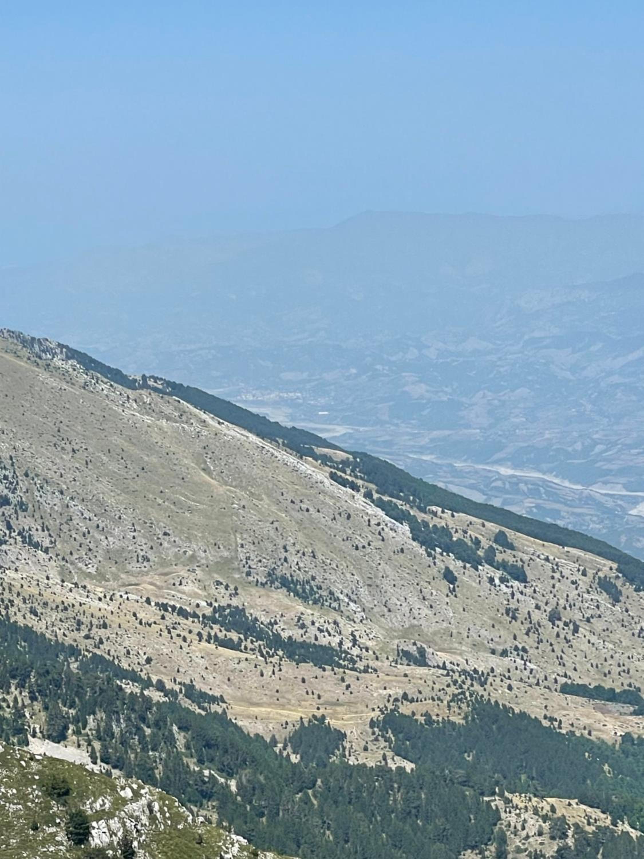 Mountain Majesty