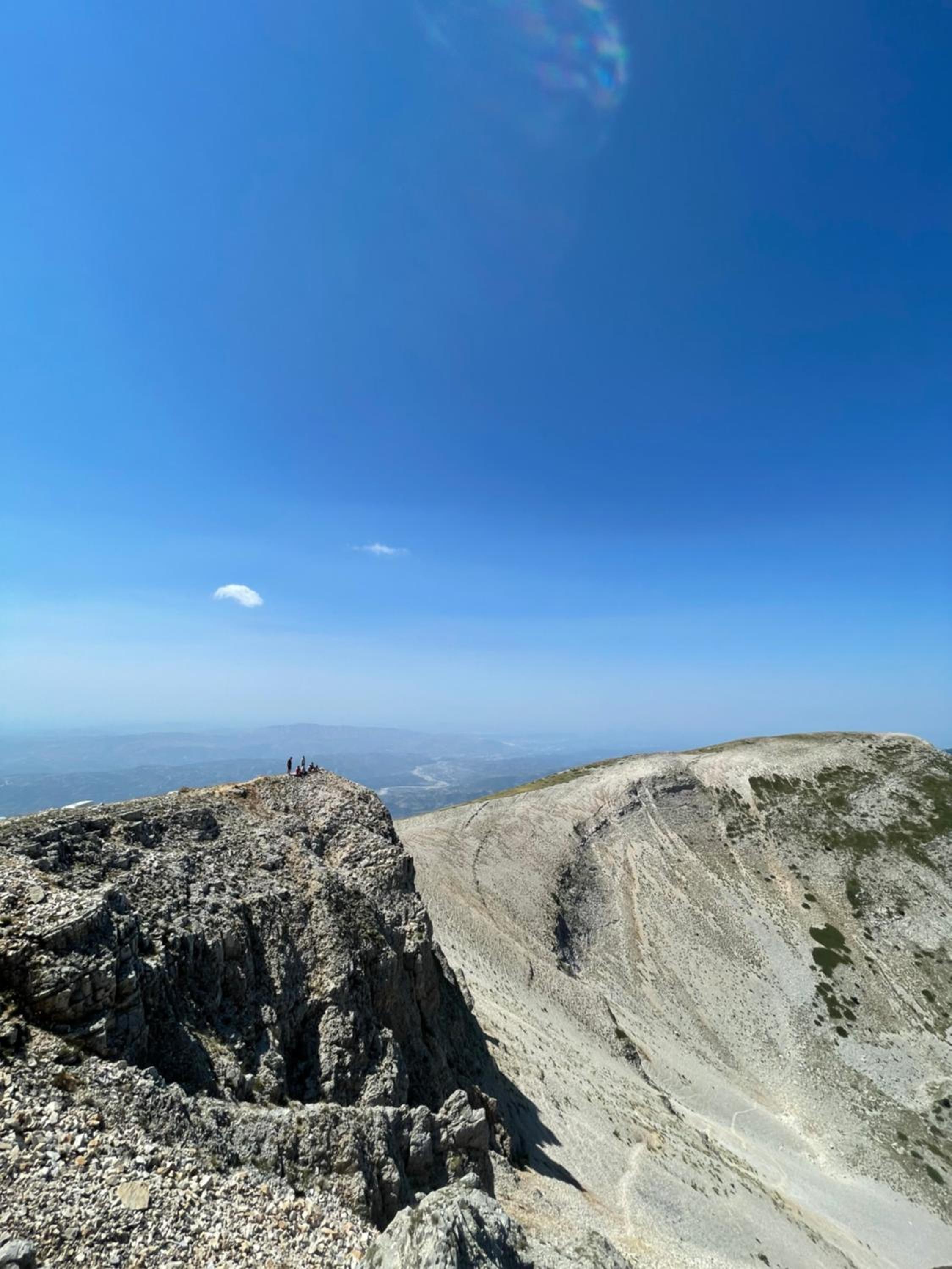 Mountain Majesty