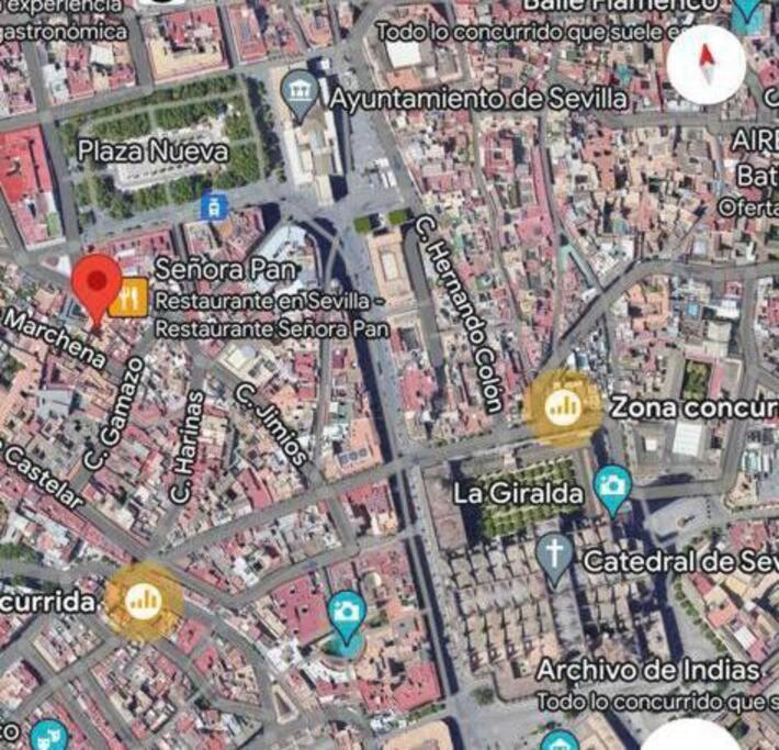 Acogedor loft+parking junto a Catedral