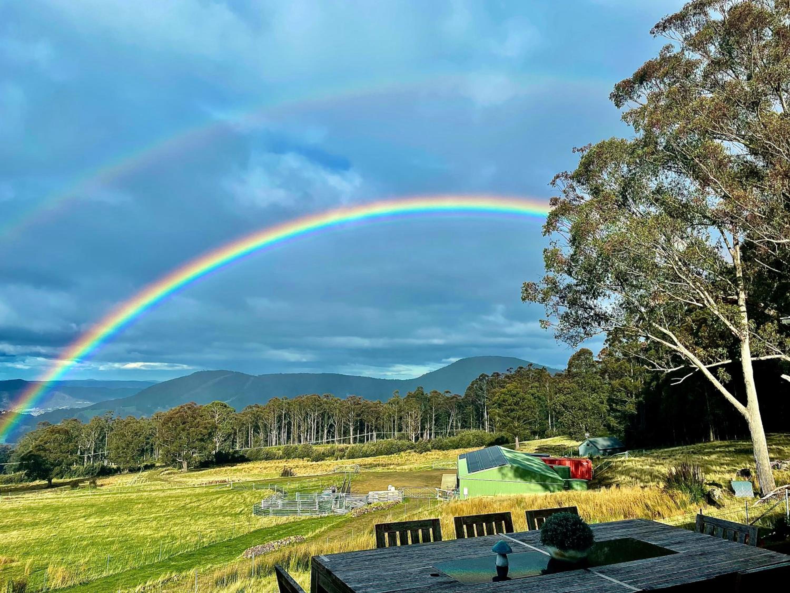 Amaroo with a view set on a 50 Acre Hobby Farm - Property Image 19
