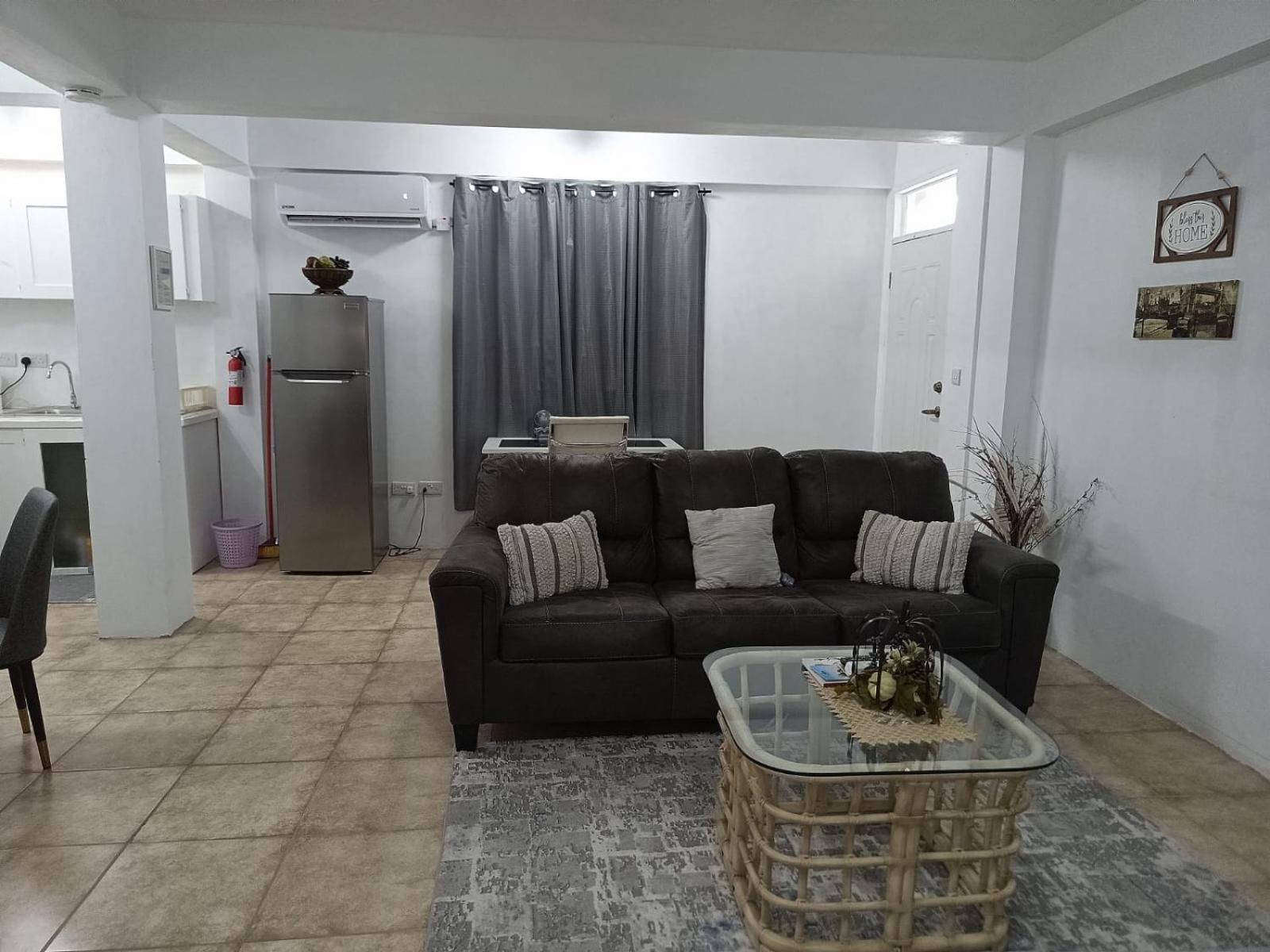 Roseau City Hub apt # 3