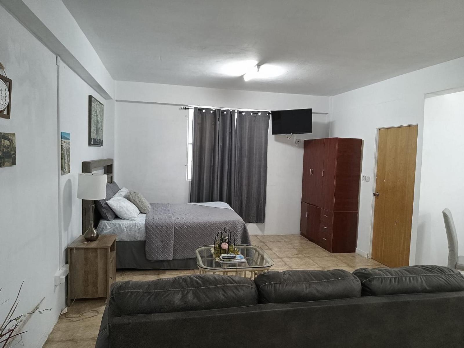 Roseau City Hub apt # 3