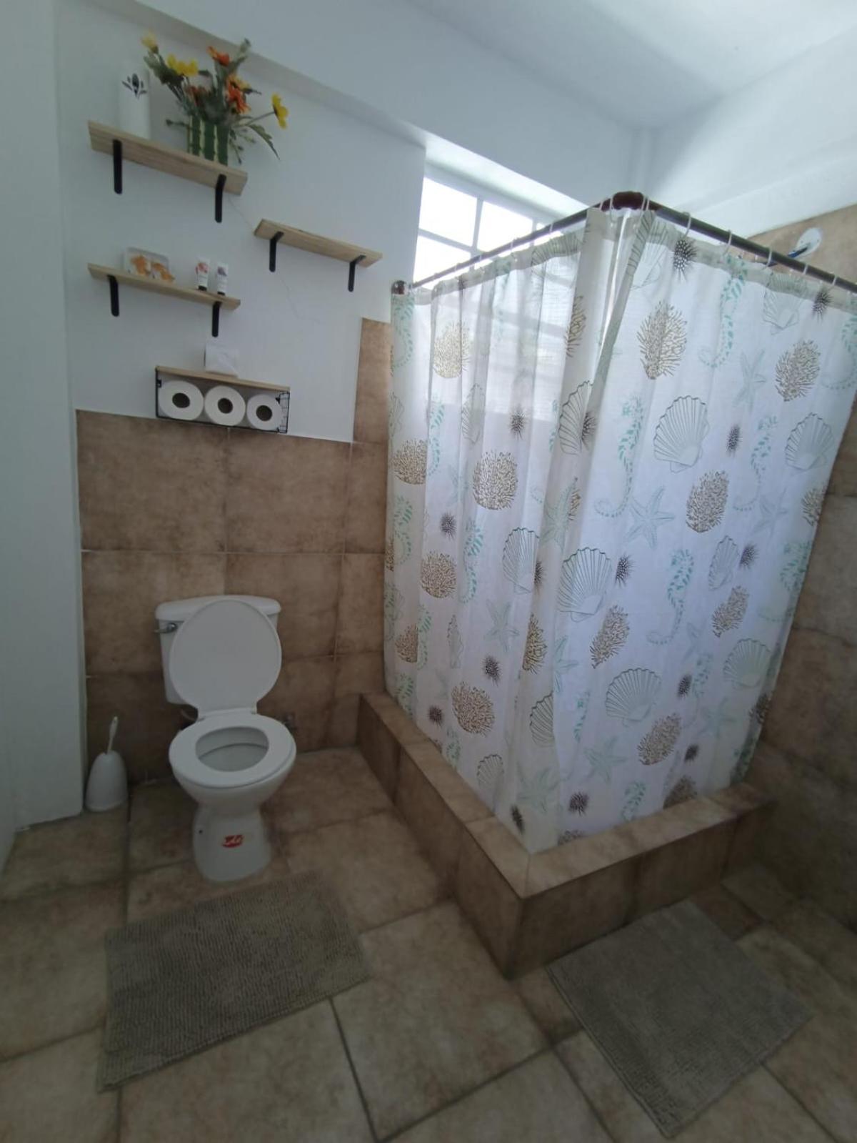 Roseau City Hub apt # 3