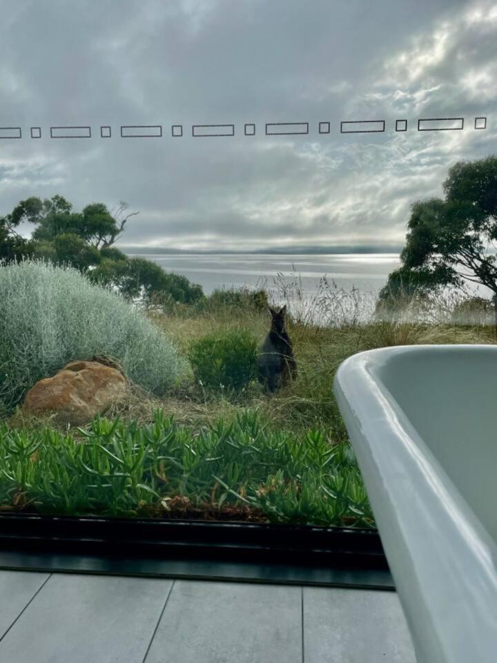 Waterfront 'Tupelo' with Sauna on Primrose Point