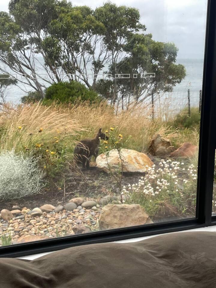 Waterfront 'Tupelo' with Sauna on Primrose Point