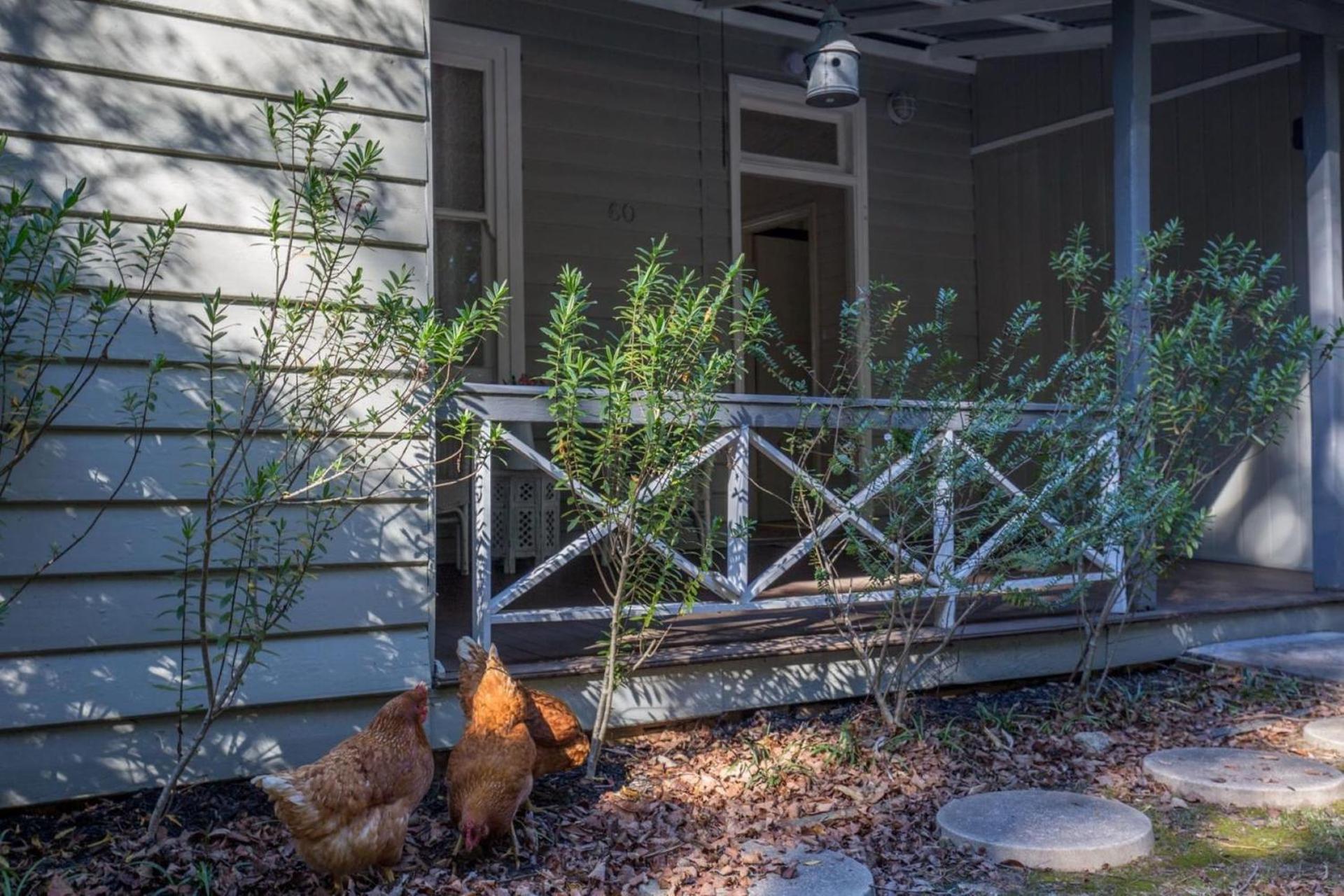 Katoomba Vacations - Arohanui - Property Image 1