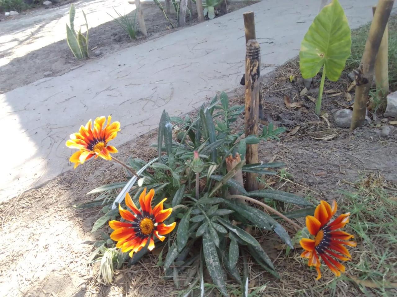 Casa de campo en la ciudad