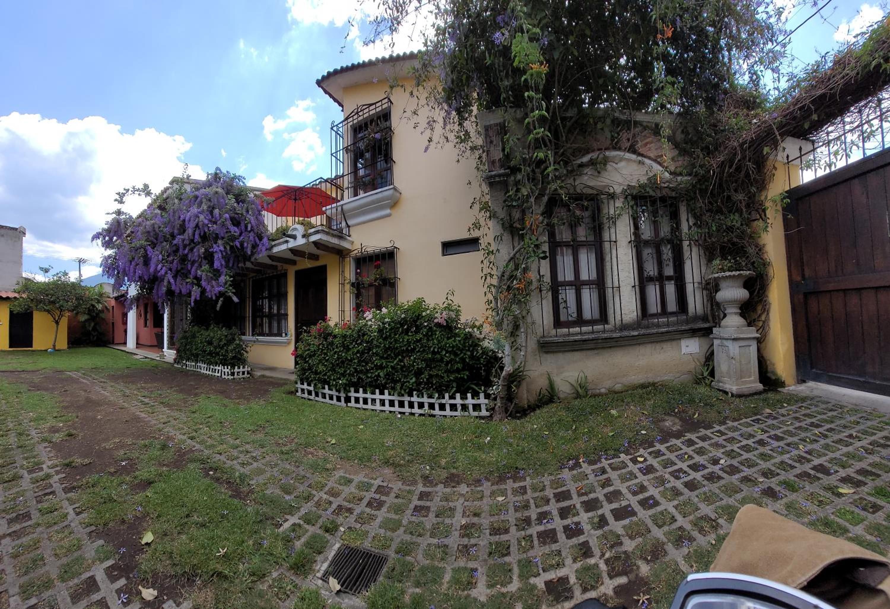 Photo 19