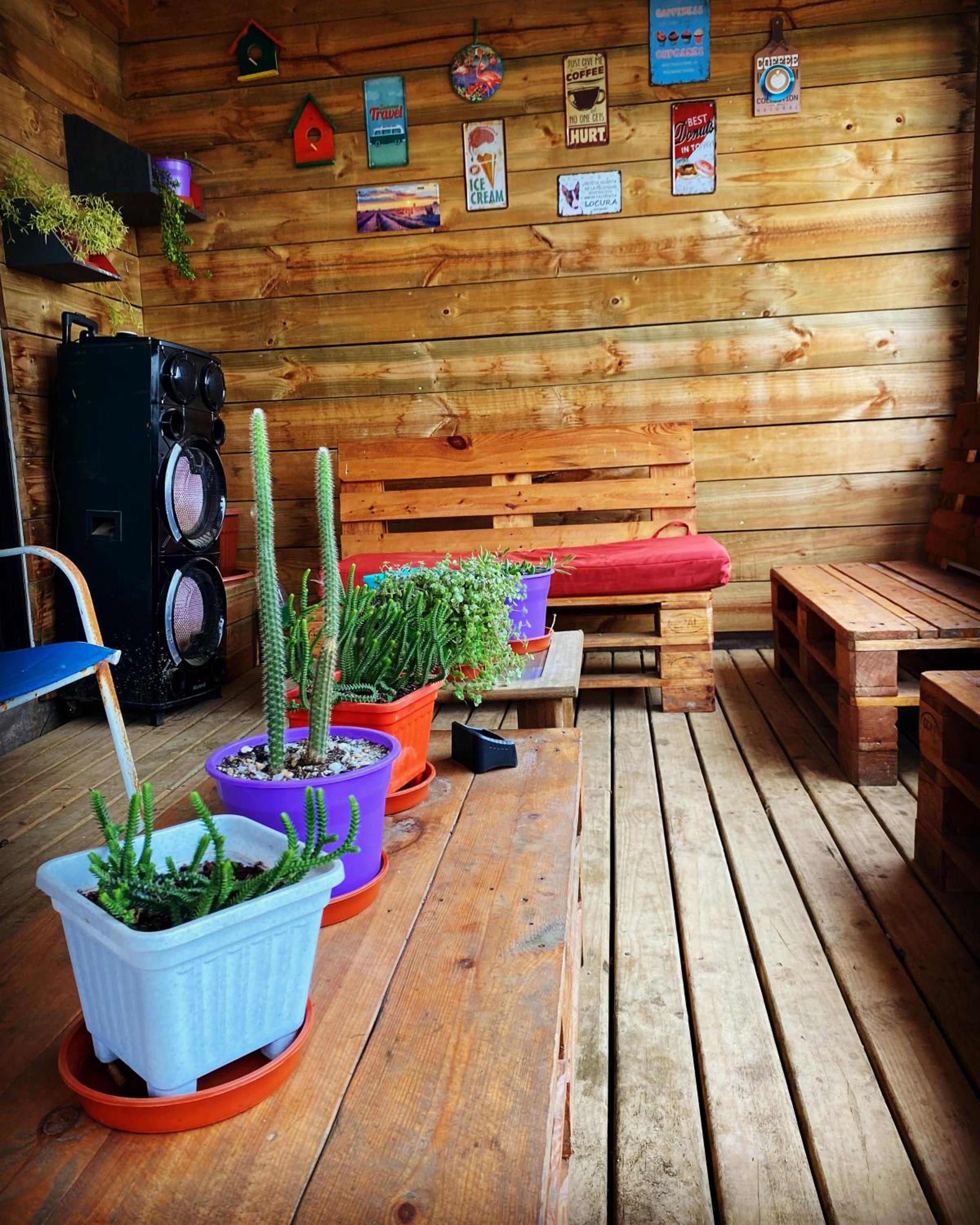 Cabañas rústicas Pichilemu