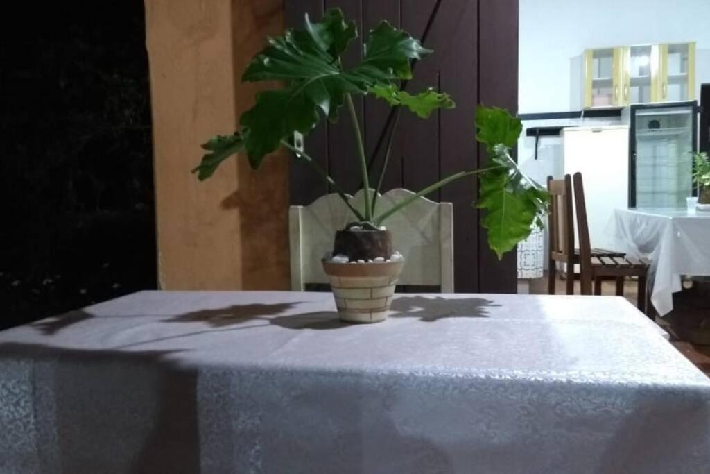 Casa de Campo: Sítio Santa Helena-Mendes RJ