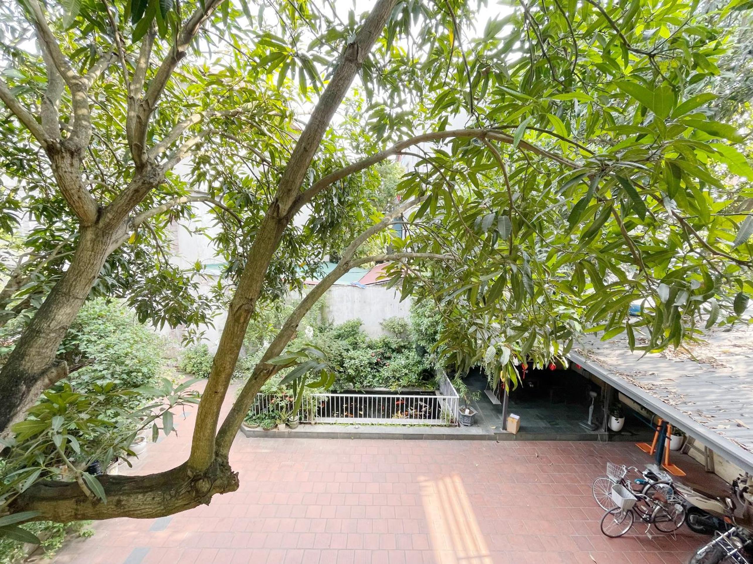 Lee Homestay
