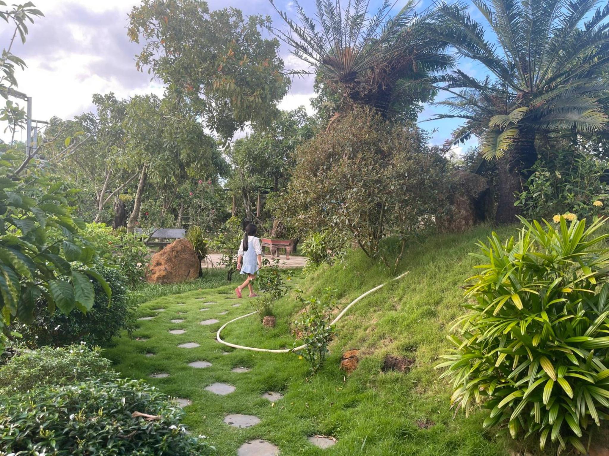 Homestay Highland Garden view 4