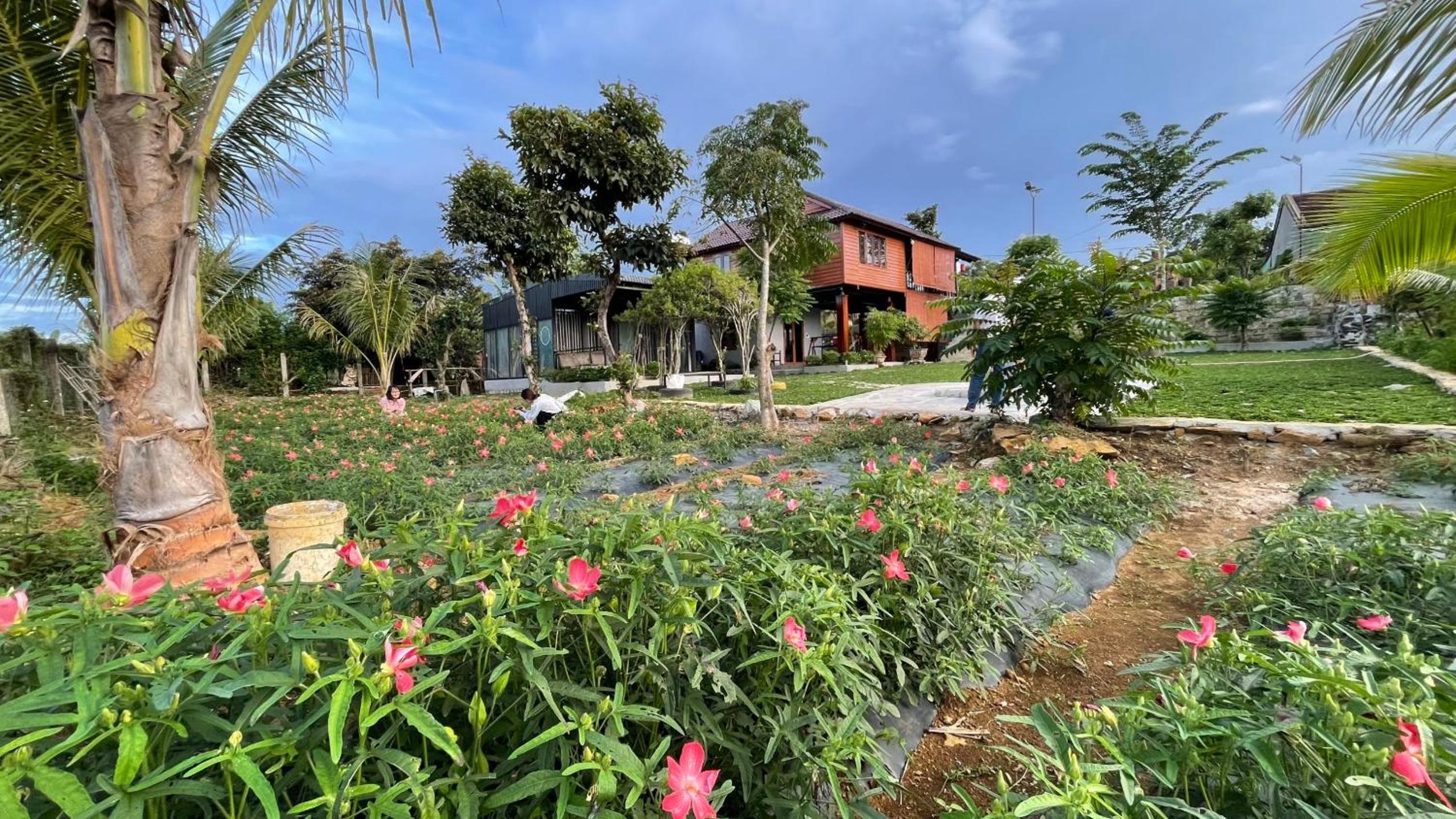 Homestay Highland Garden view 5