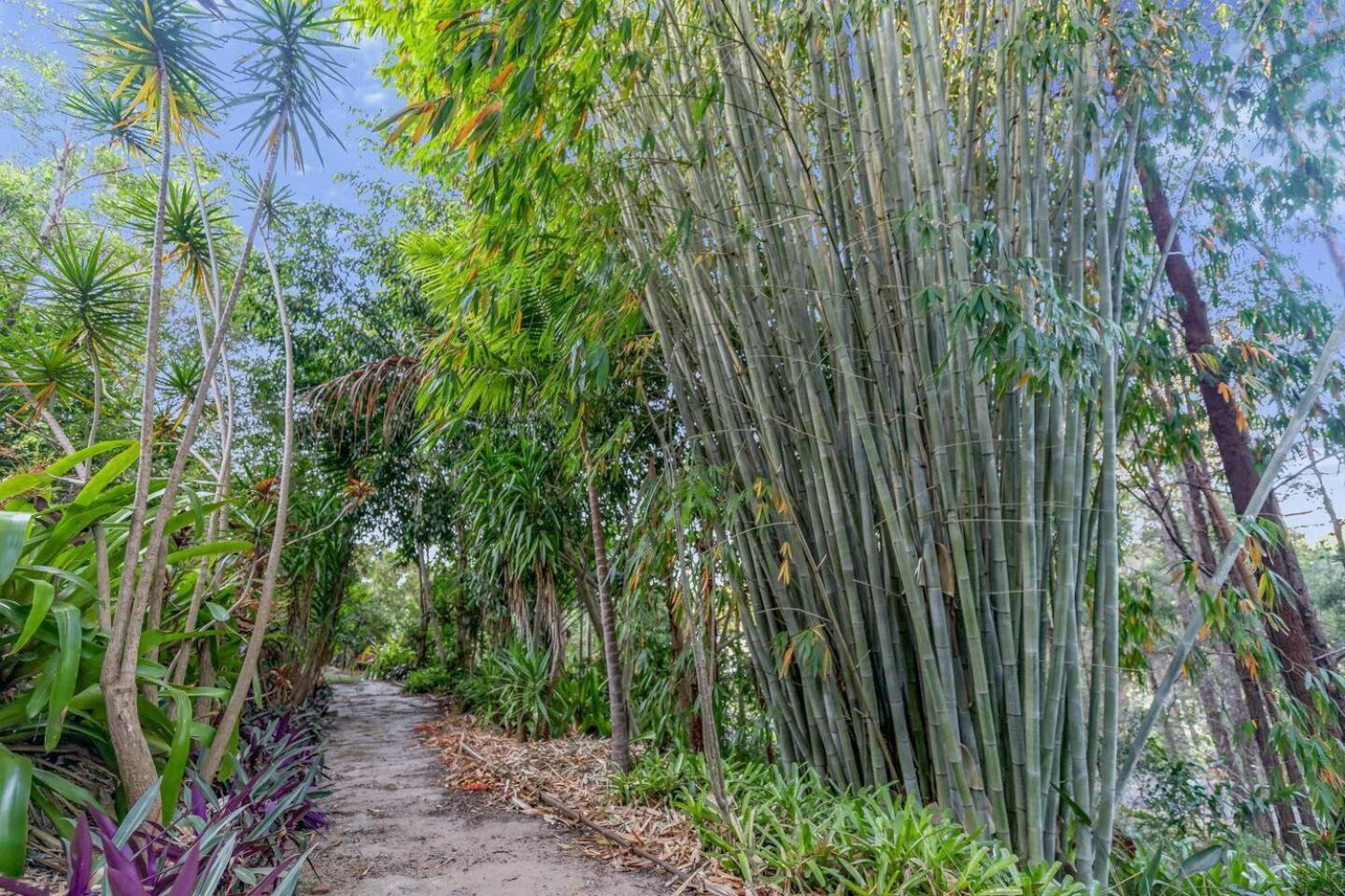 Spring is Here! Enjoy Exclusive Access for 9, Pool, Media Room, Acreage Estate in Magical Sunshine Coast